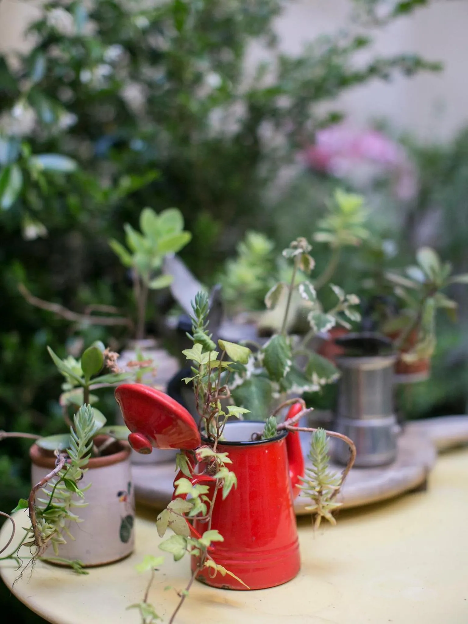 Decorative detail in Porta Del Tempo
