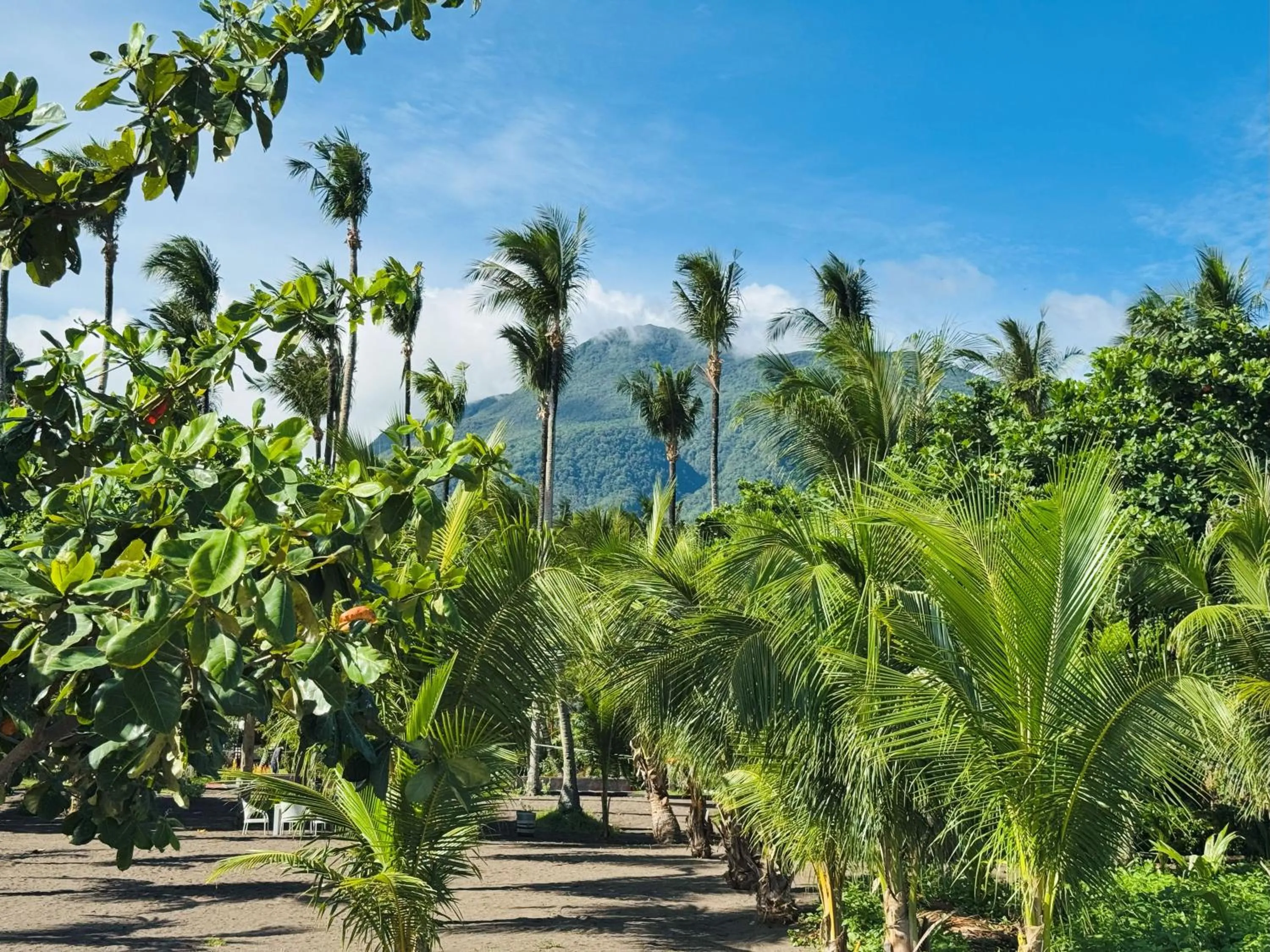 SomeWhere Else Boutique Resort