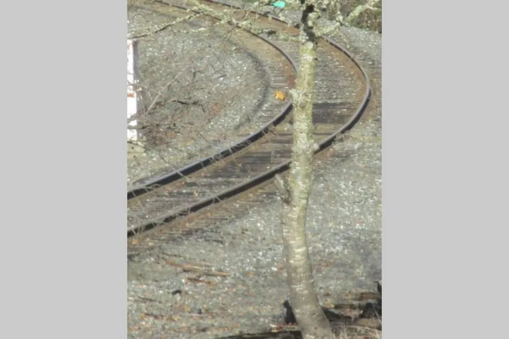 Area and facilities in HISTORICAL JOHN RAST HOUSE circa 1875