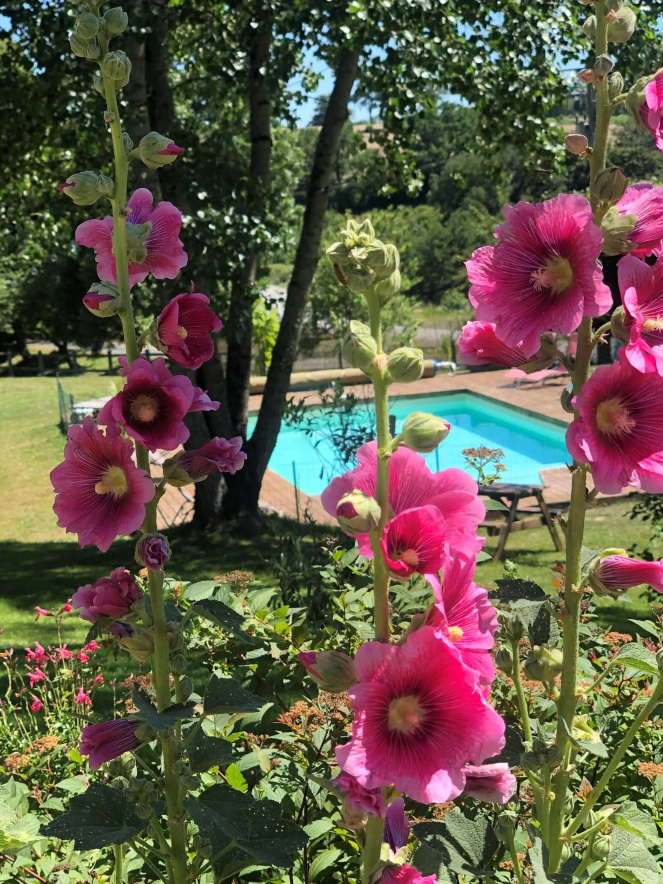 Swimming pool in Maison d'hôtes Ourdeaux et Gite Chez Rouchon