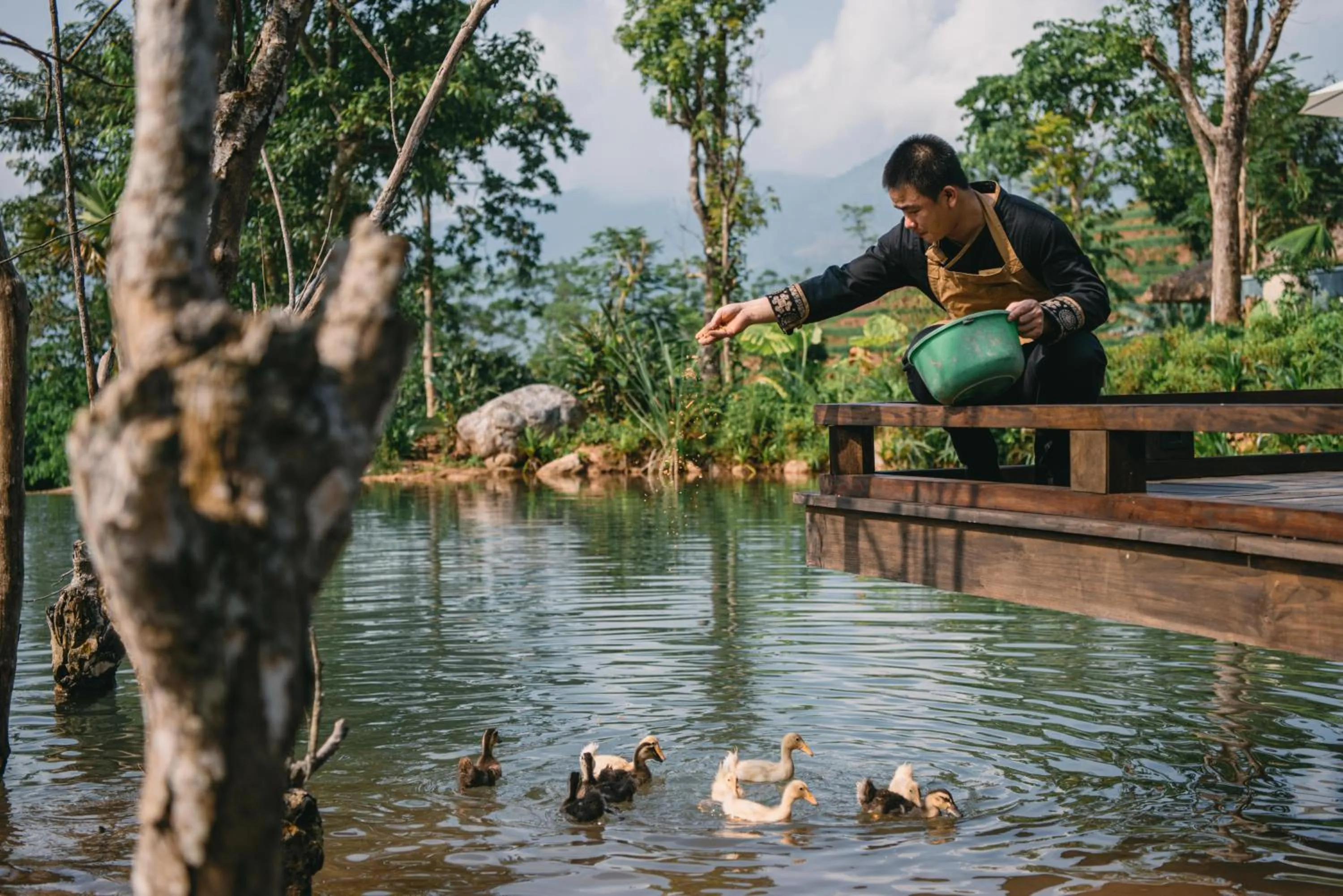 Animals in Avana Retreat