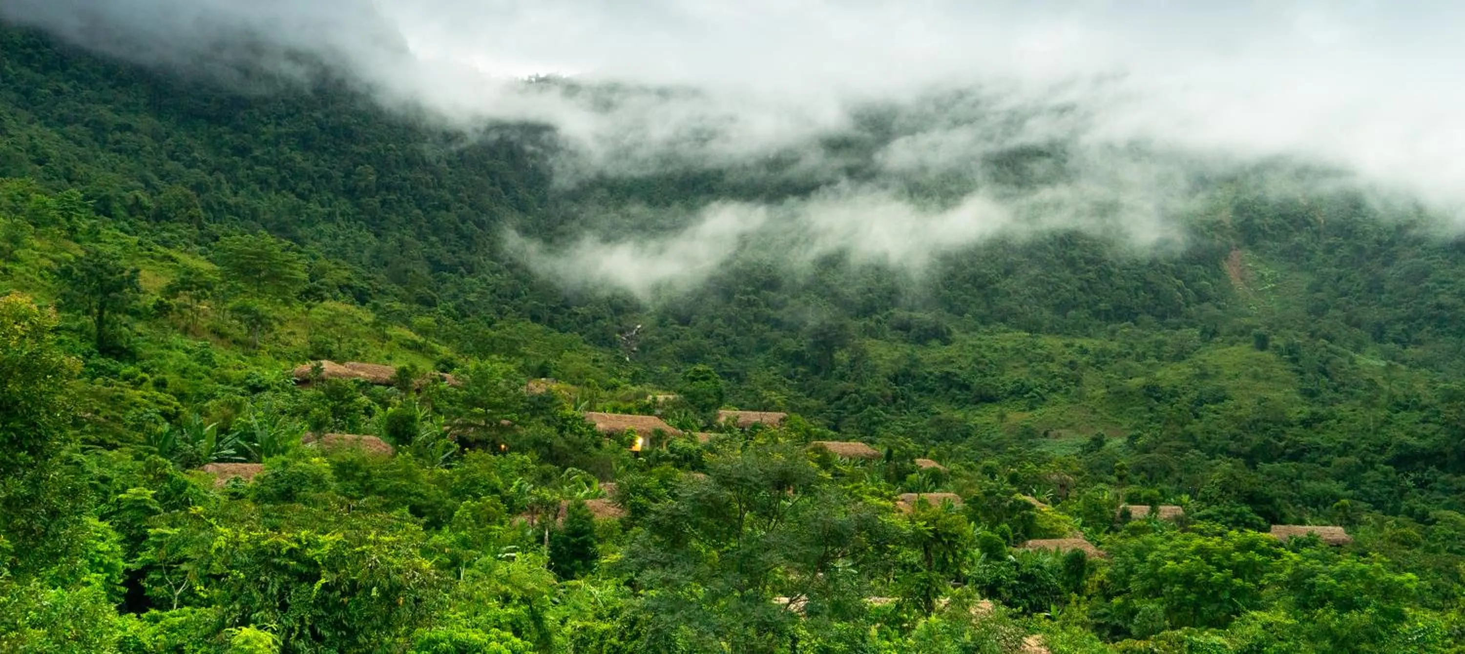 Natural landscape in Avana Retreat
