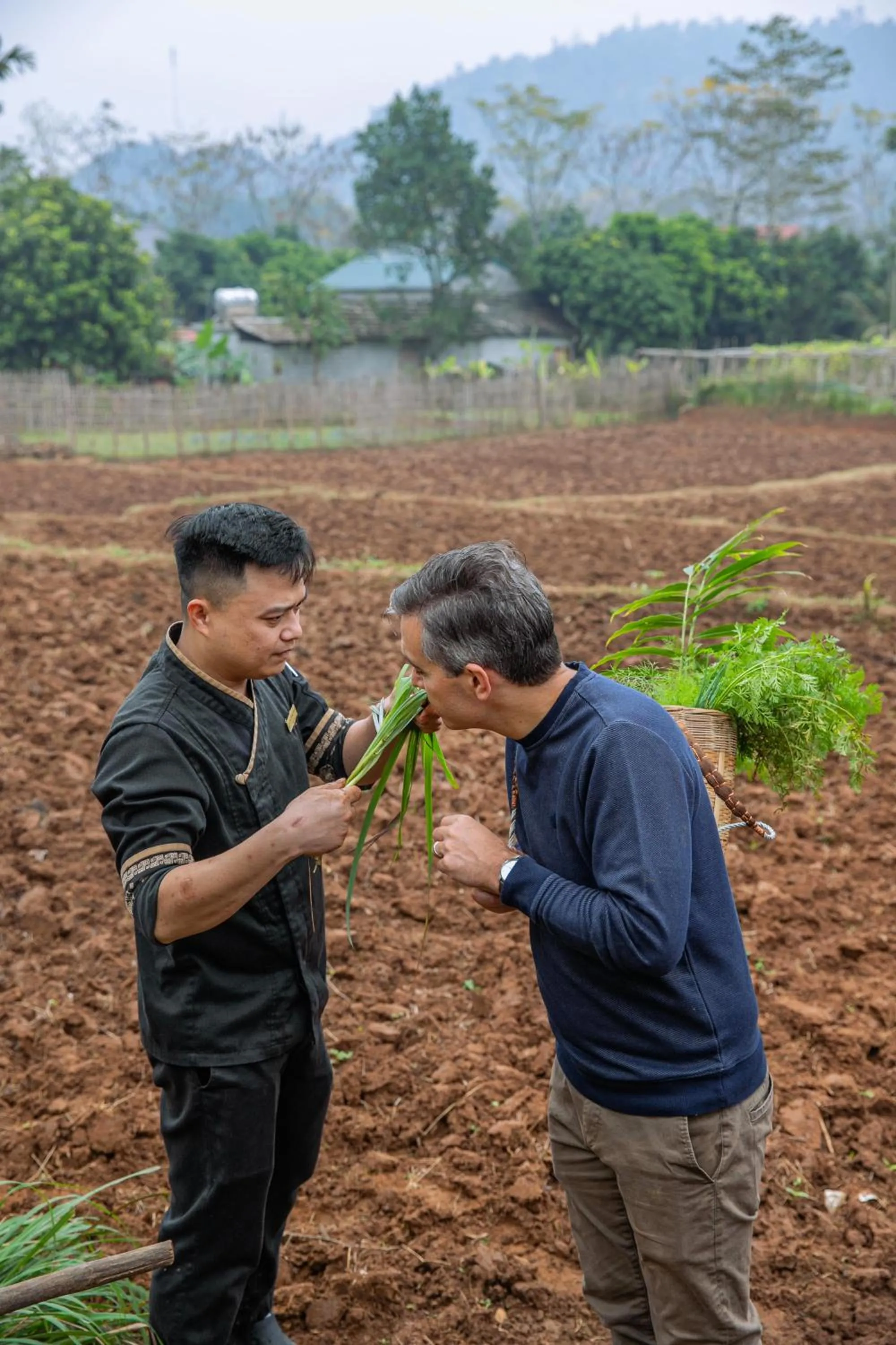 Activities in Avana Retreat