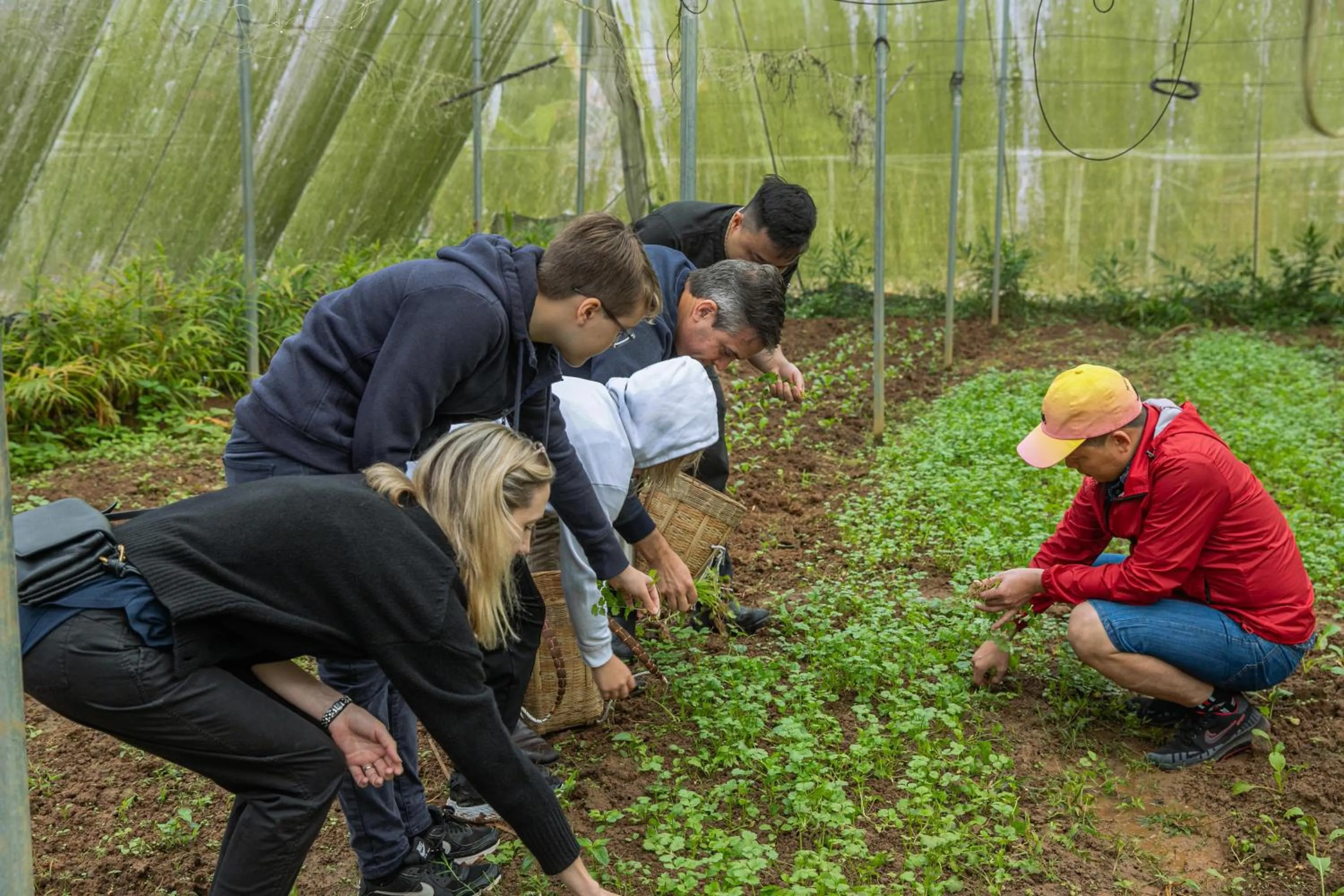 Activities in Avana Retreat