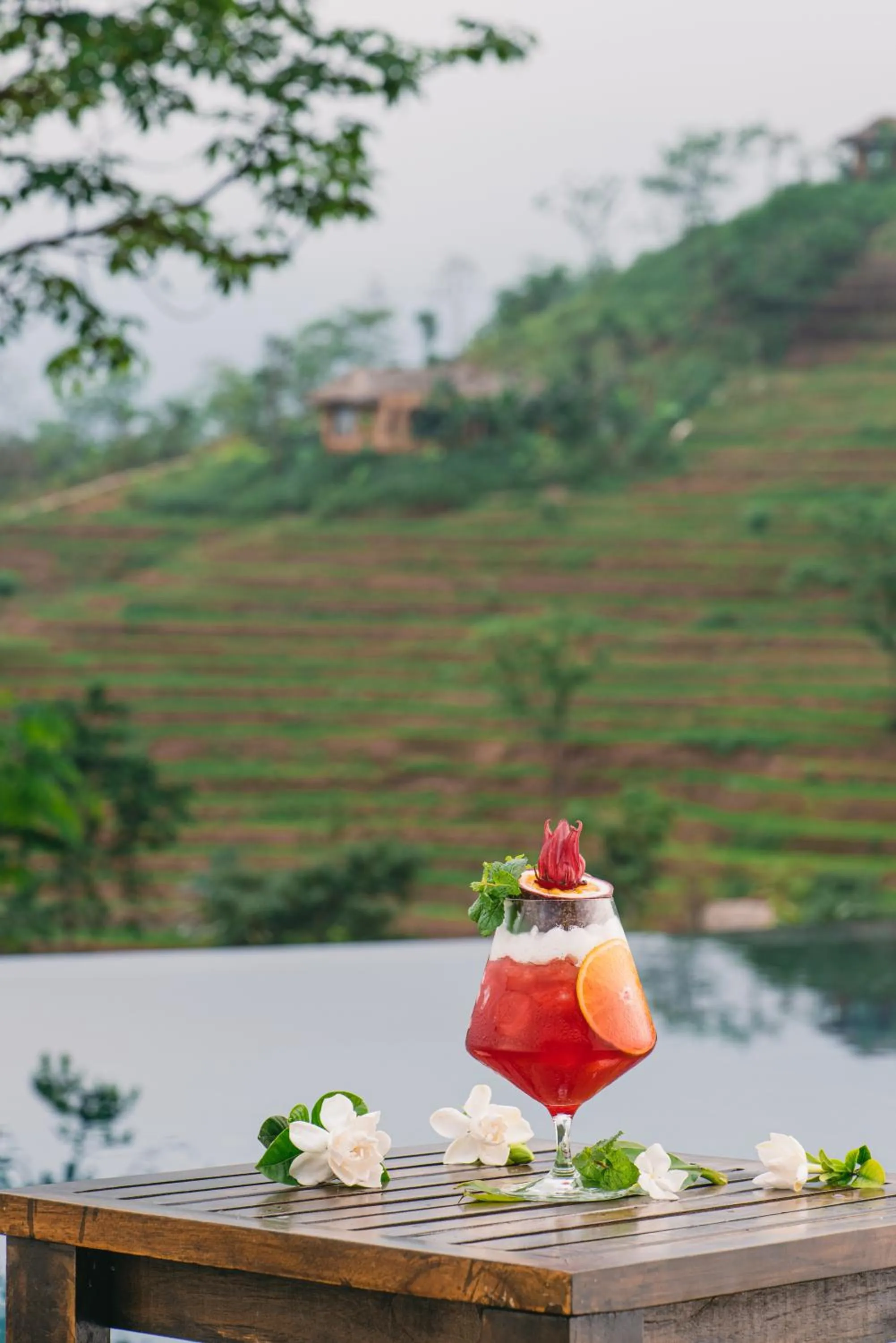 Food and drinks in Avana Retreat