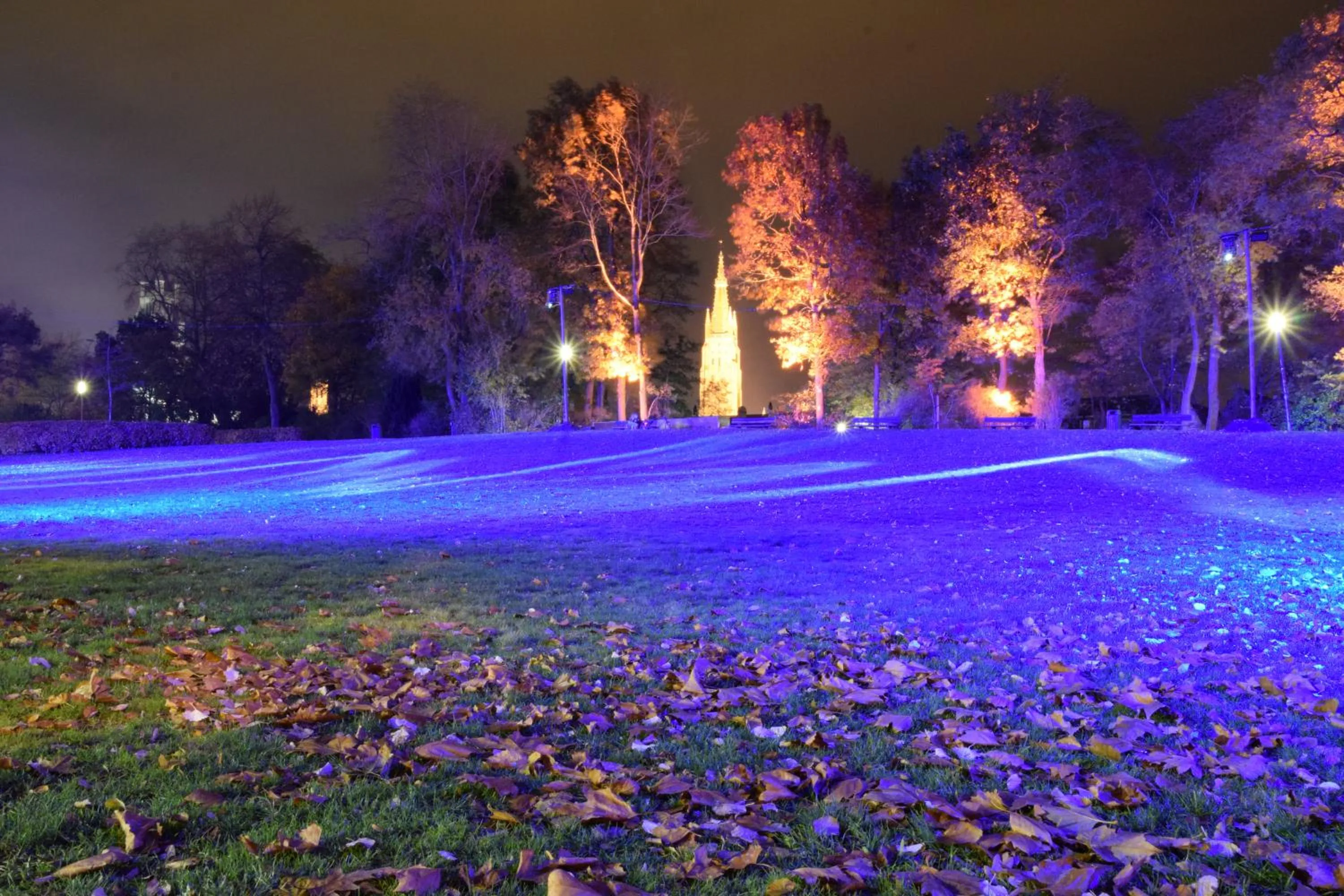 Winter in B&B My Suite Home