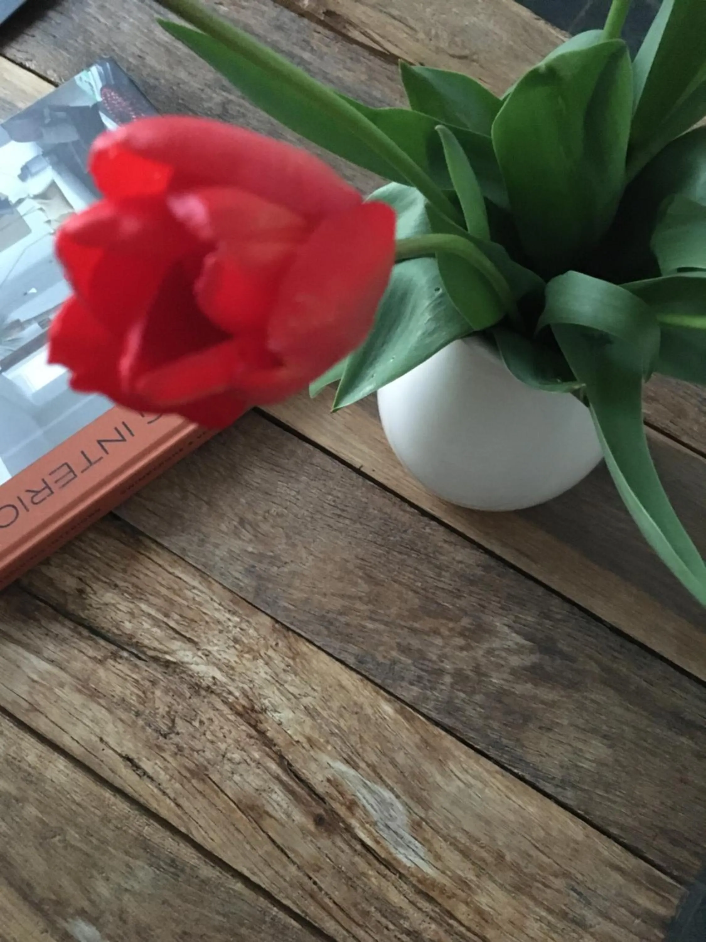 Property building in B&B My Suite Home