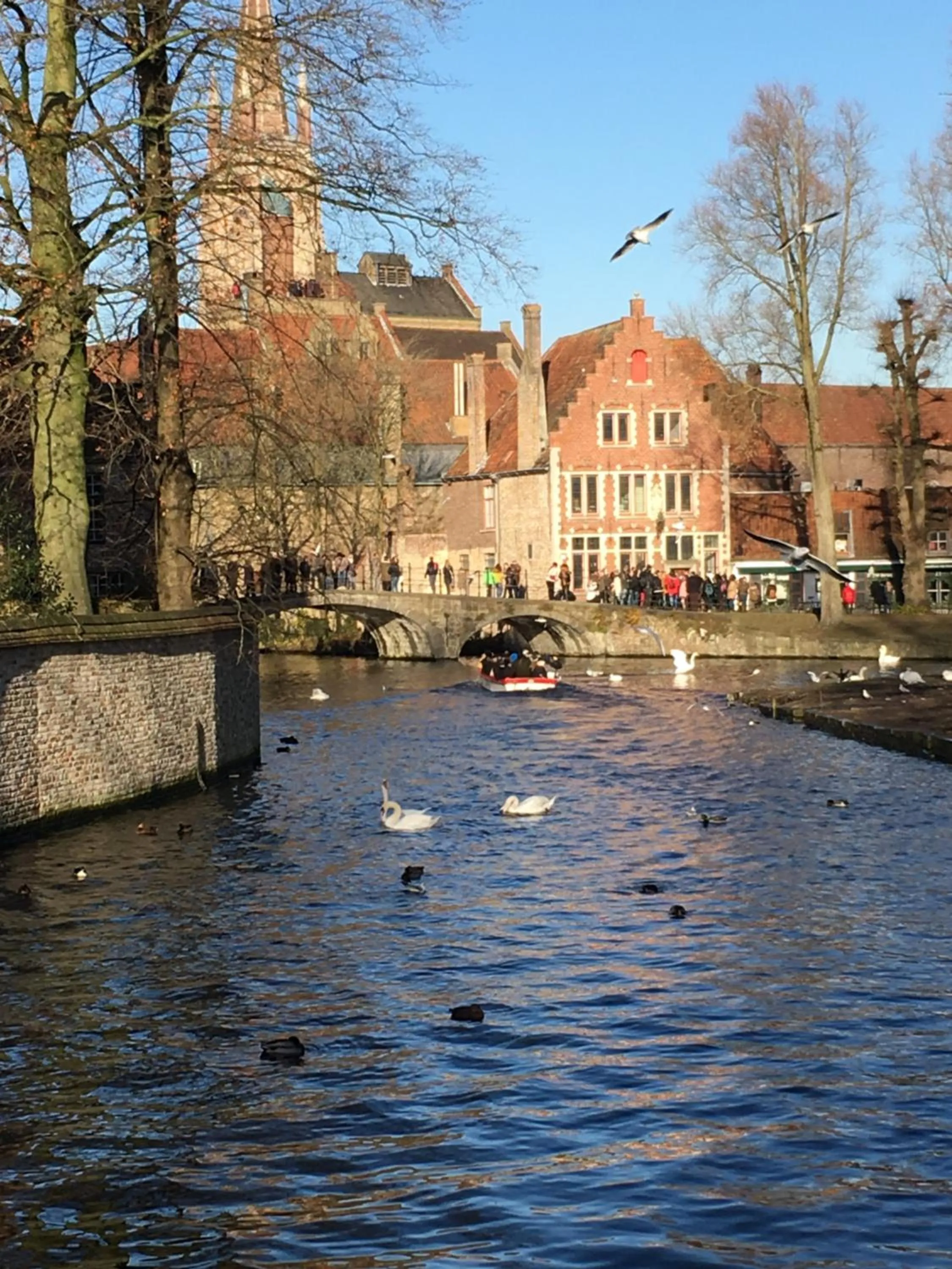 Restaurant/places to eat in B&B My Suite Home