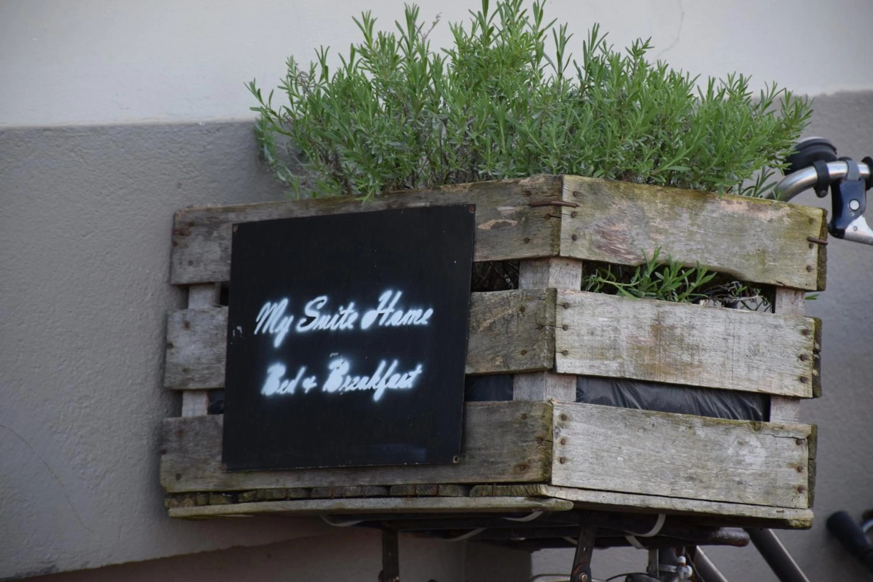 Spring in B&B My Suite Home