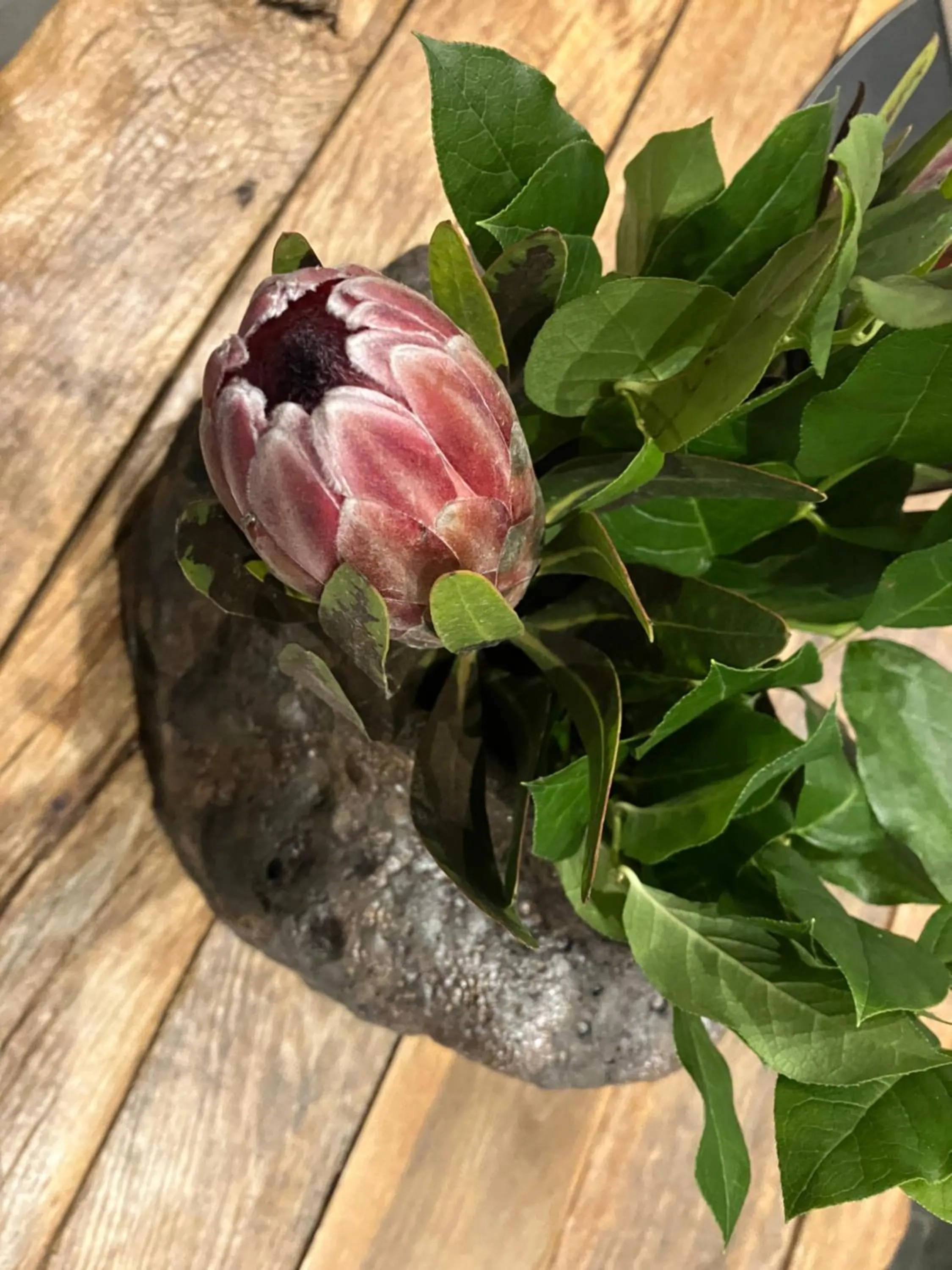 Property building in B&B My Suite Home