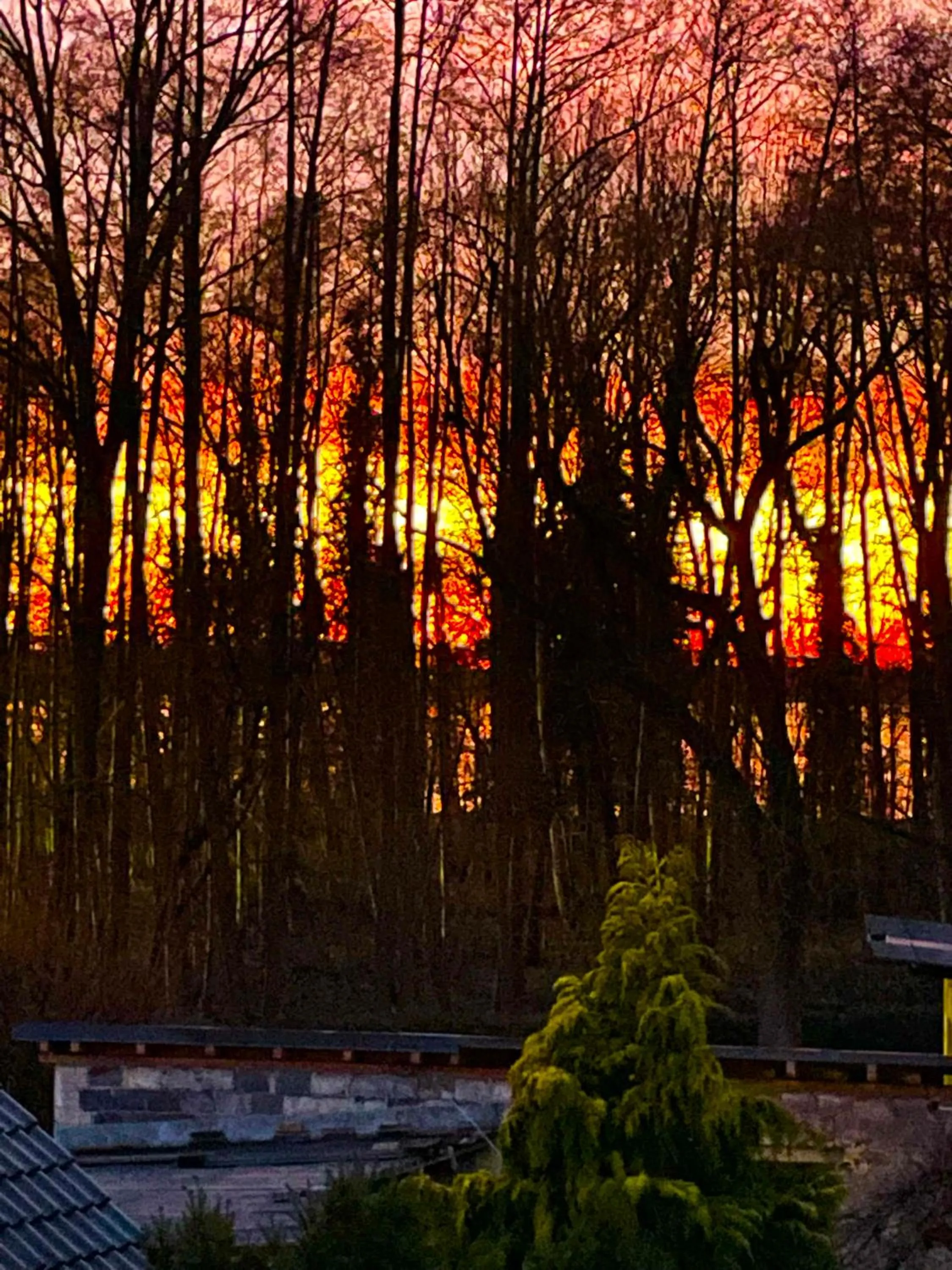 Sunset in Appartement Seebadallee mit Wallbox für e-Autos