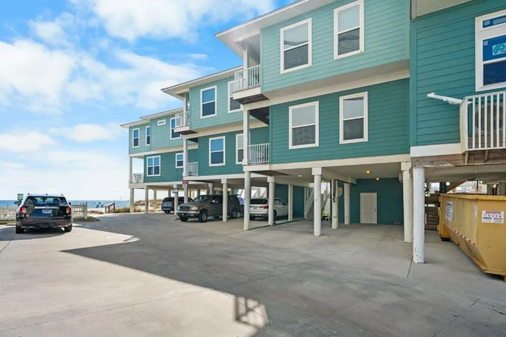 Two Little Lambs at Our Point of View by Youngs Suncoast