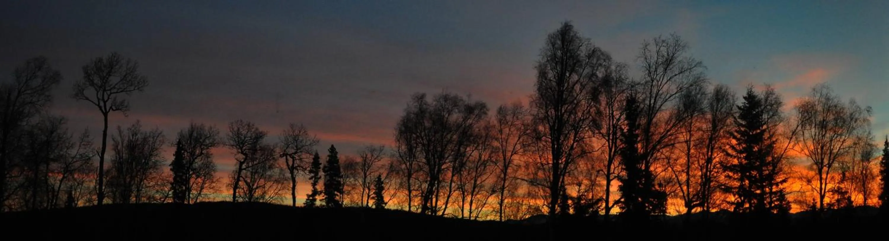 Natural landscape in Talkeetna Chalet