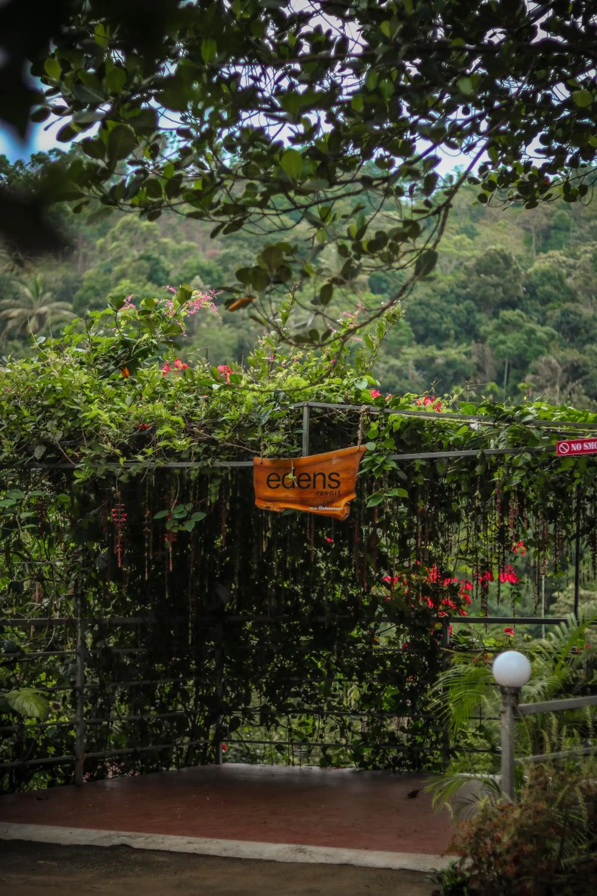 Garden in Edens Munnar