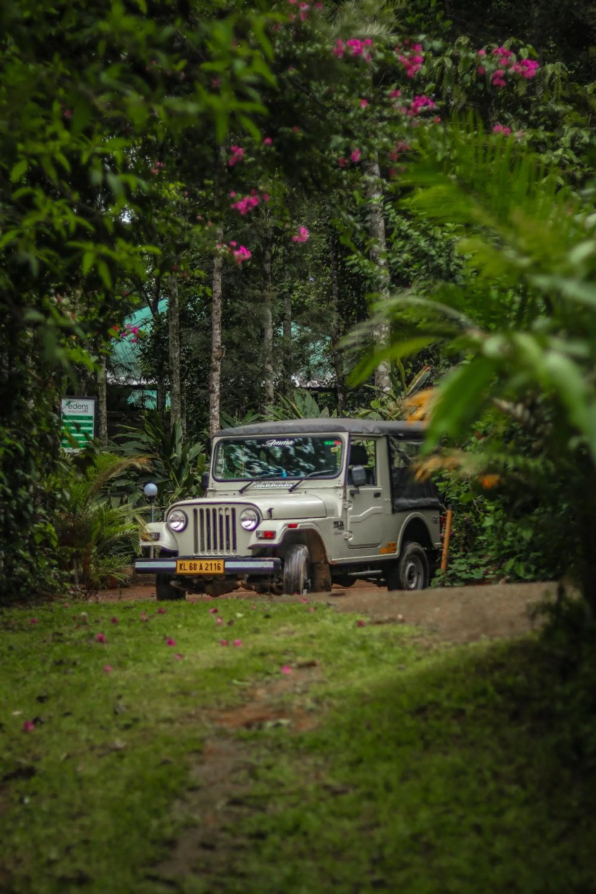Activities in Edens Munnar