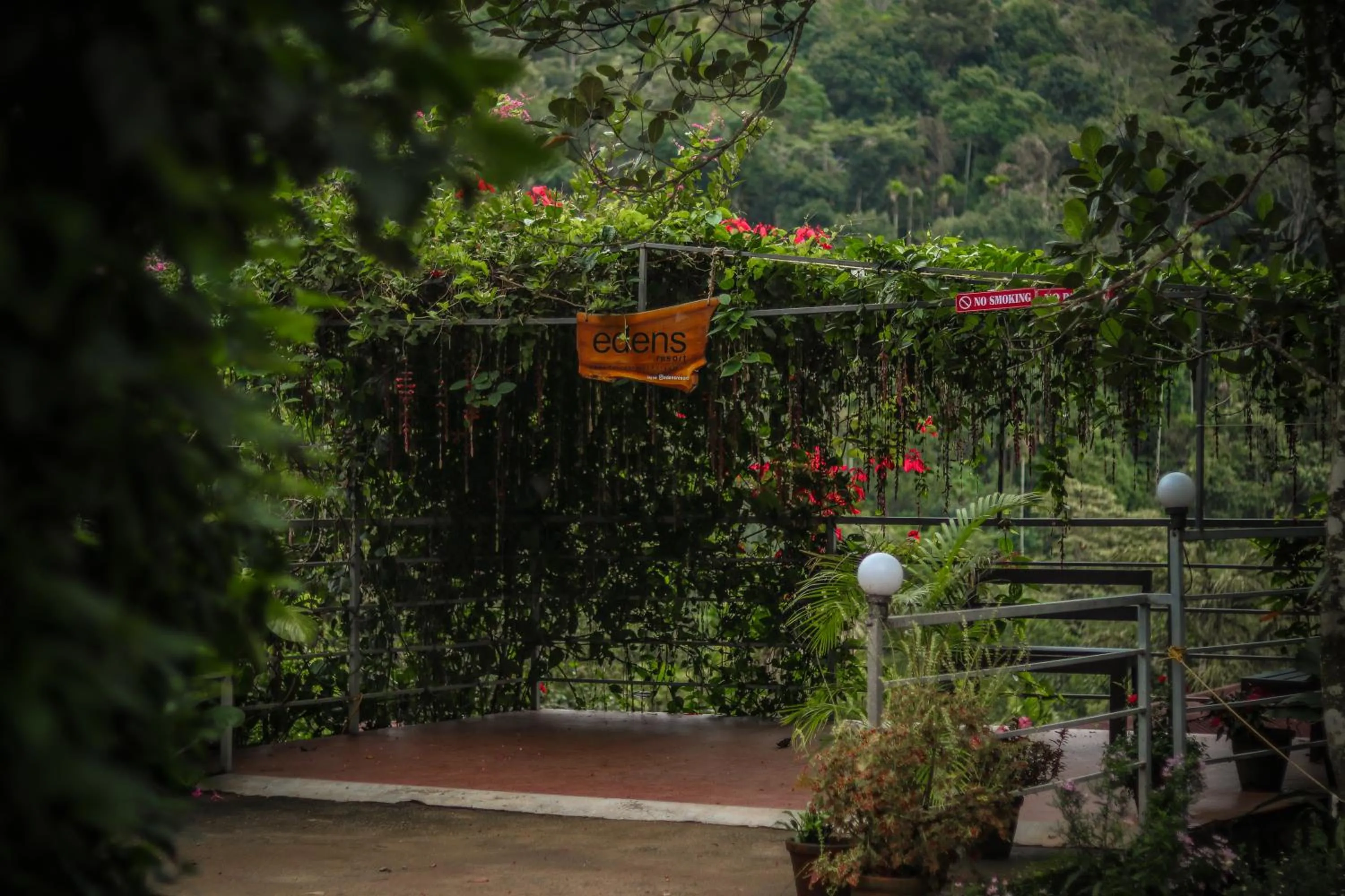 Garden in Edens Munnar