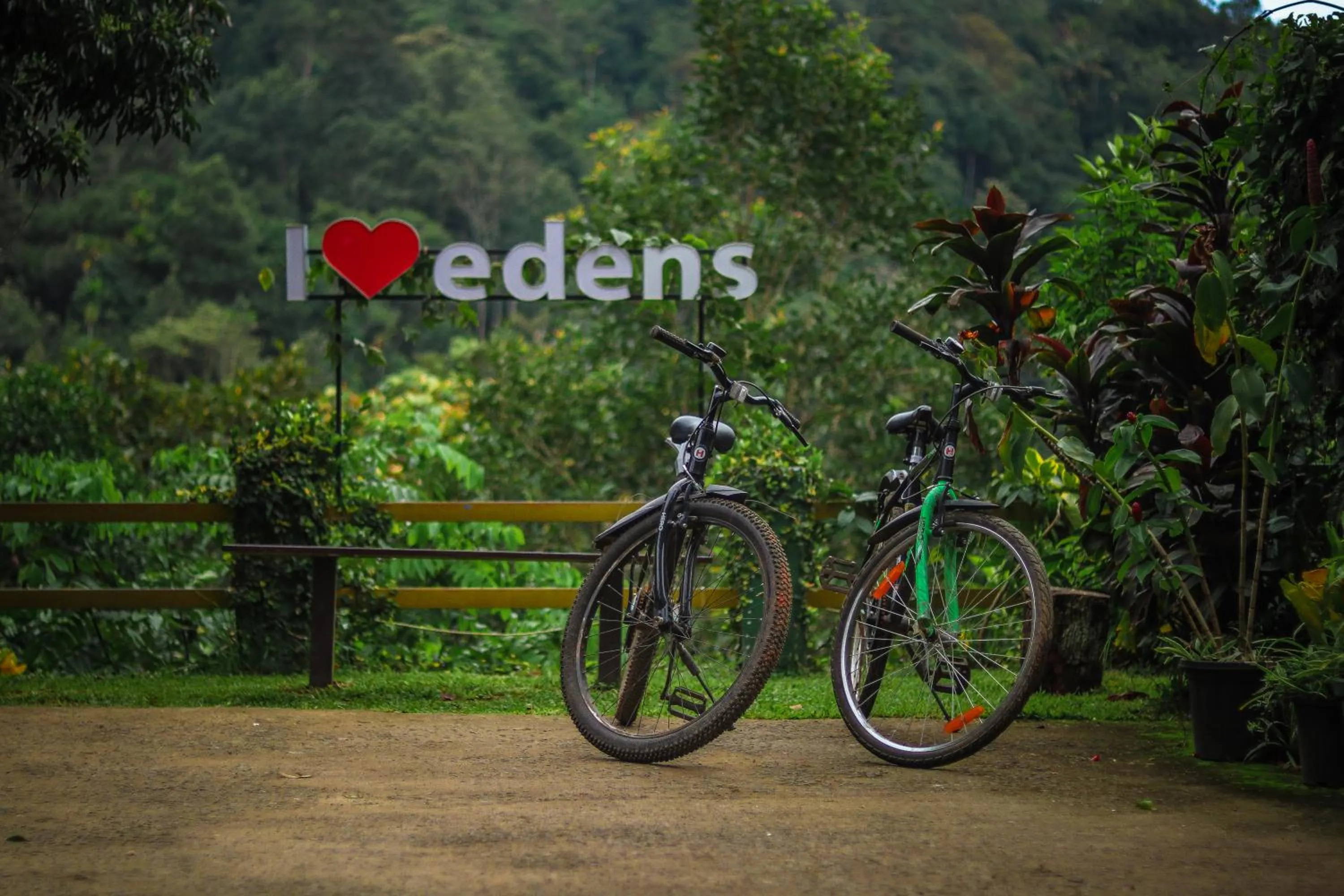 Cycling in Edens Munnar