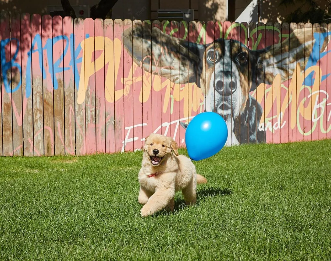 Sono Pet Clubs & Resorts VivaldiPark