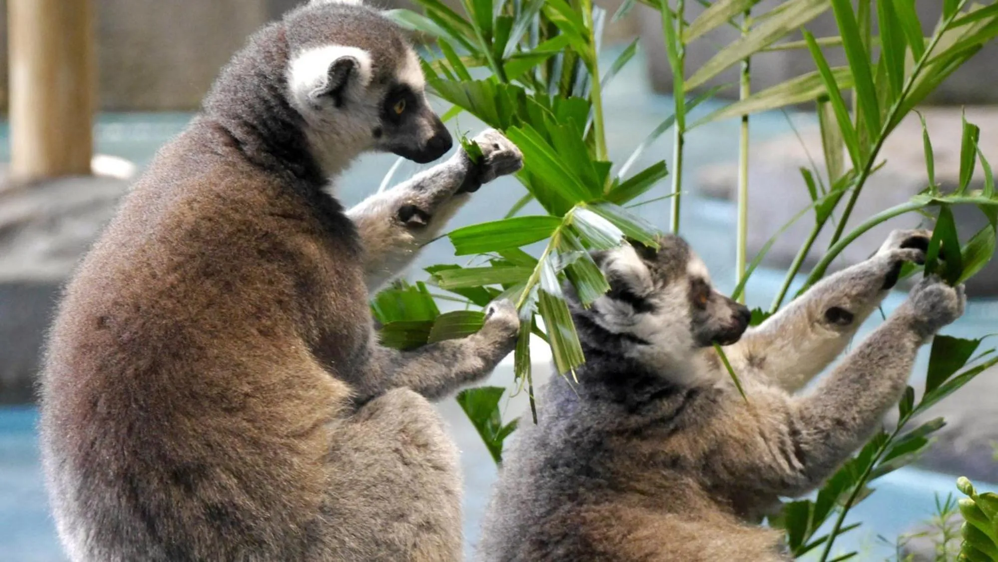 Nearby landmark in Toyoko Inn Osaka Itami Airport