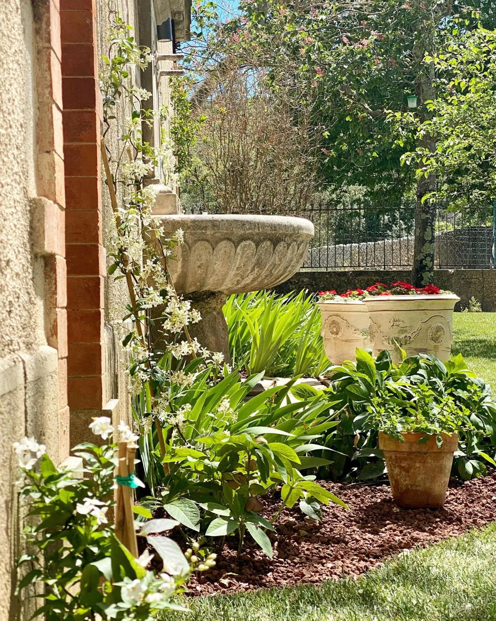 Garden in Domaine Les Mûriers