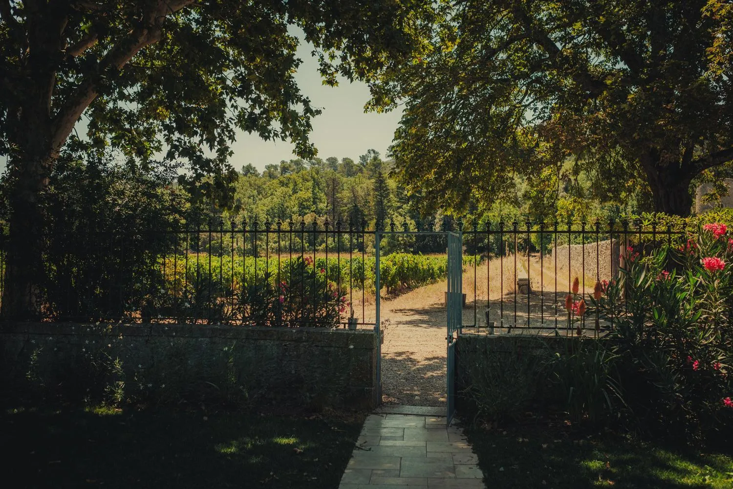 Garden in Domaine Les Mûriers