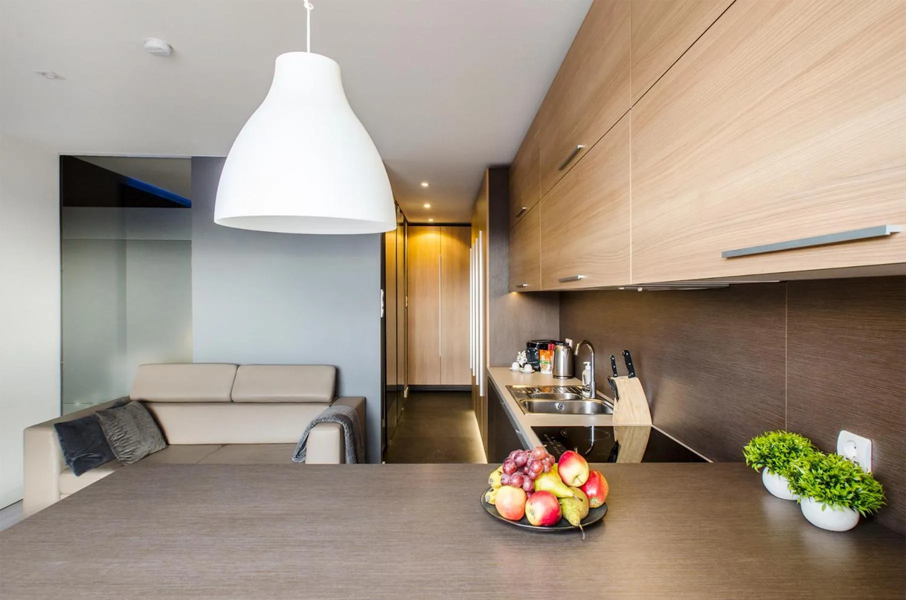 Kitchen or kitchenette in LupoApartments z Klimatyzacją do wyboru z Jacuzzi Pole Dance Parking Dostęp na Kod