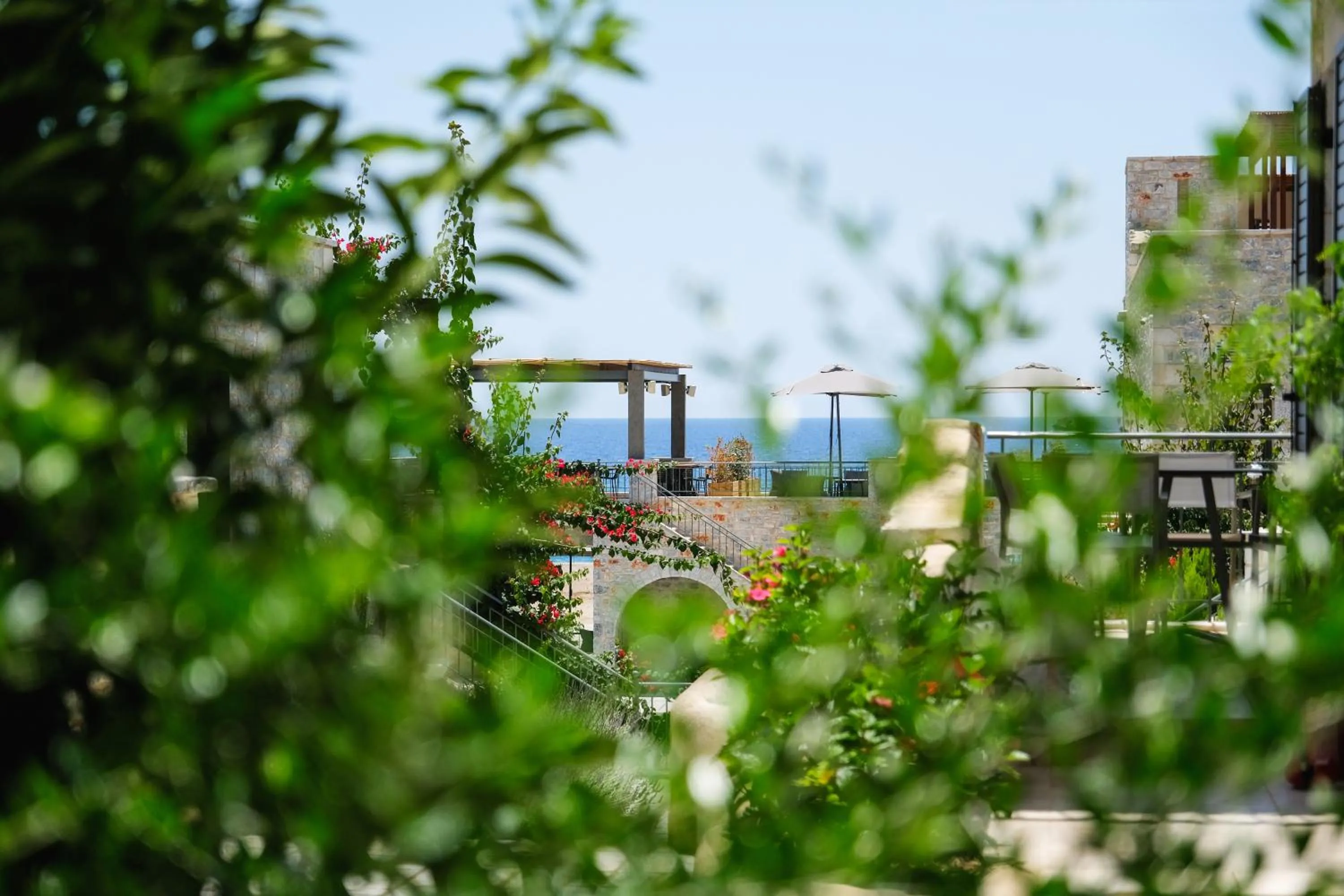 Garden in Margo Beach Hotel