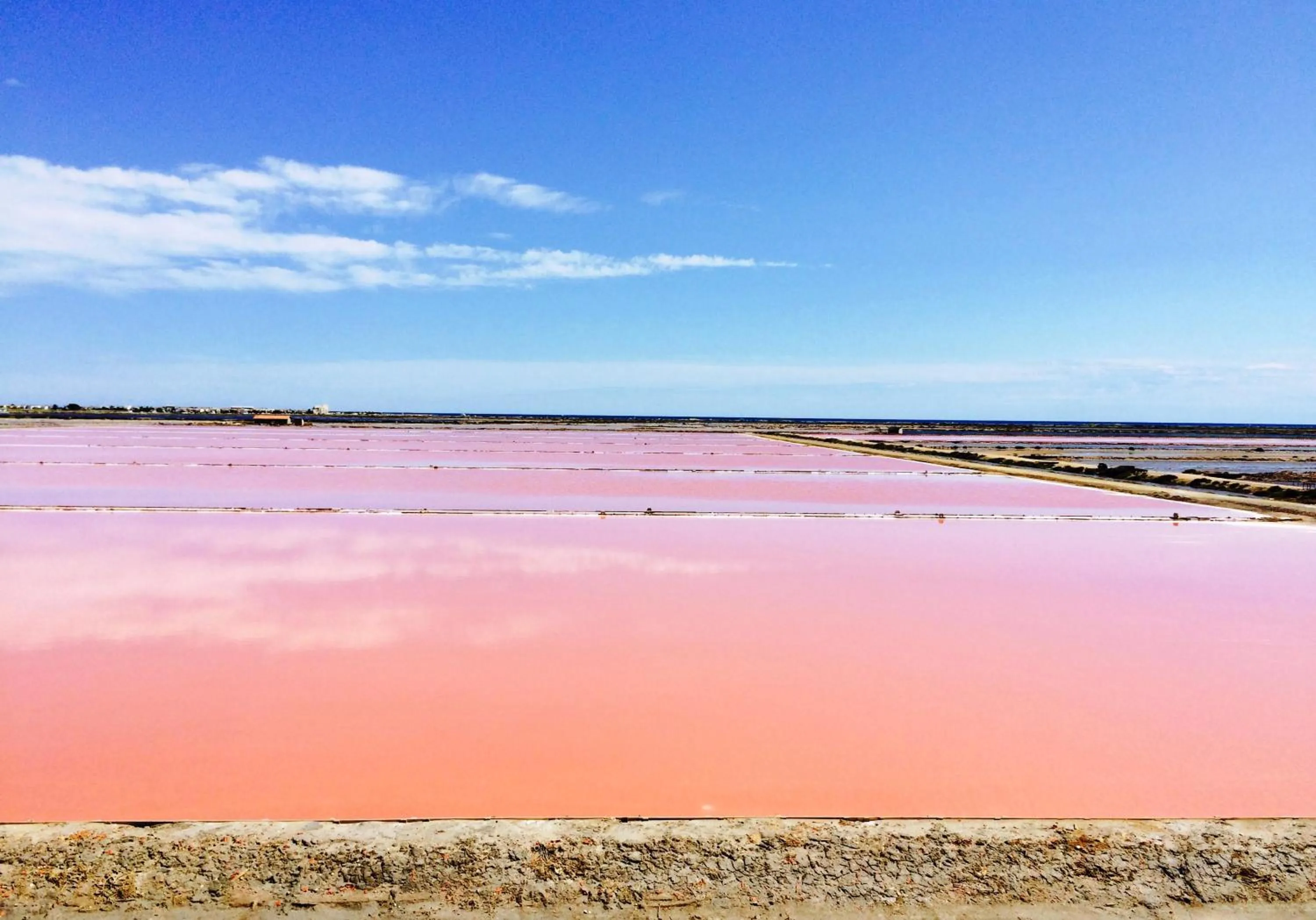 Activities in Château Capitoul