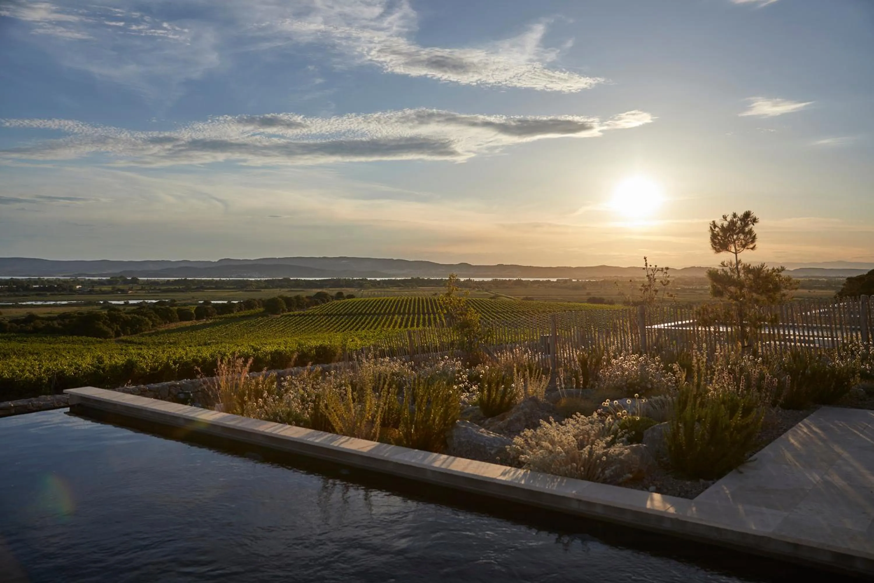 View (from property/room) in Château Capitoul