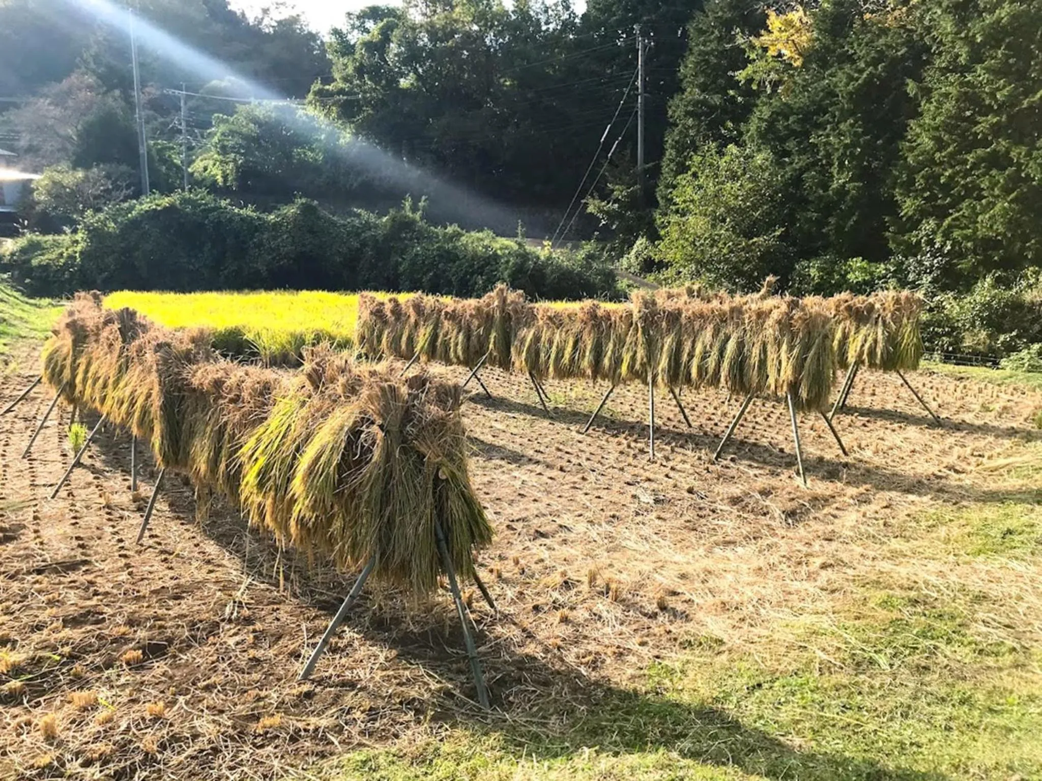 Guest house KURIHAI - Vacation STAY 21433v