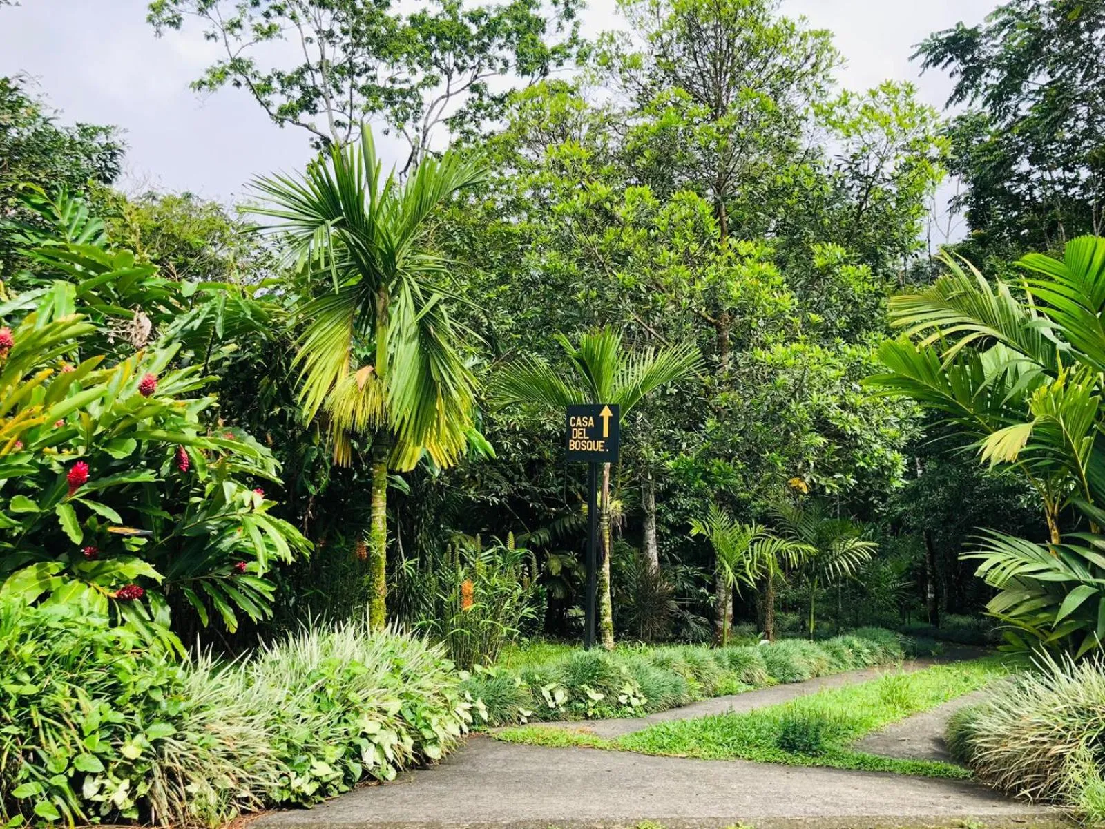 Property building in Ávita Lodge