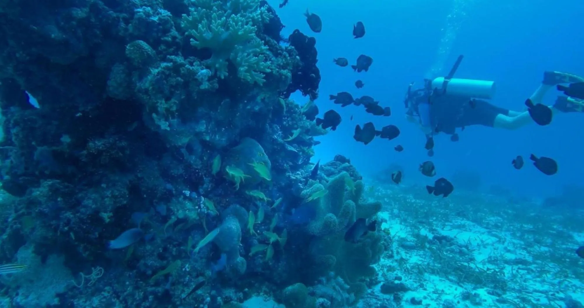Beach in RedDoorz at Homa Resort Hotel