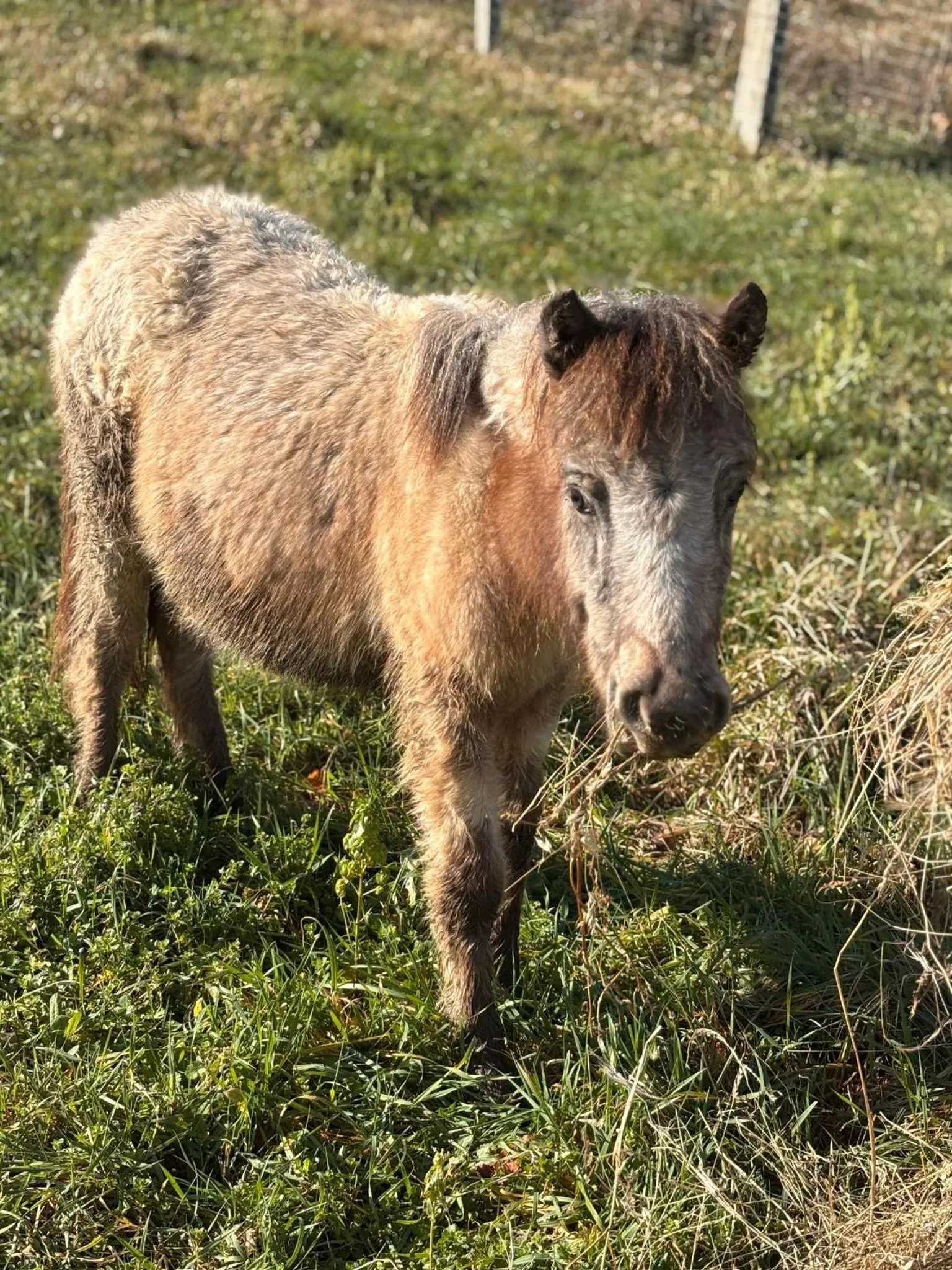 Activities in Agriturismo B&B La Cerasa