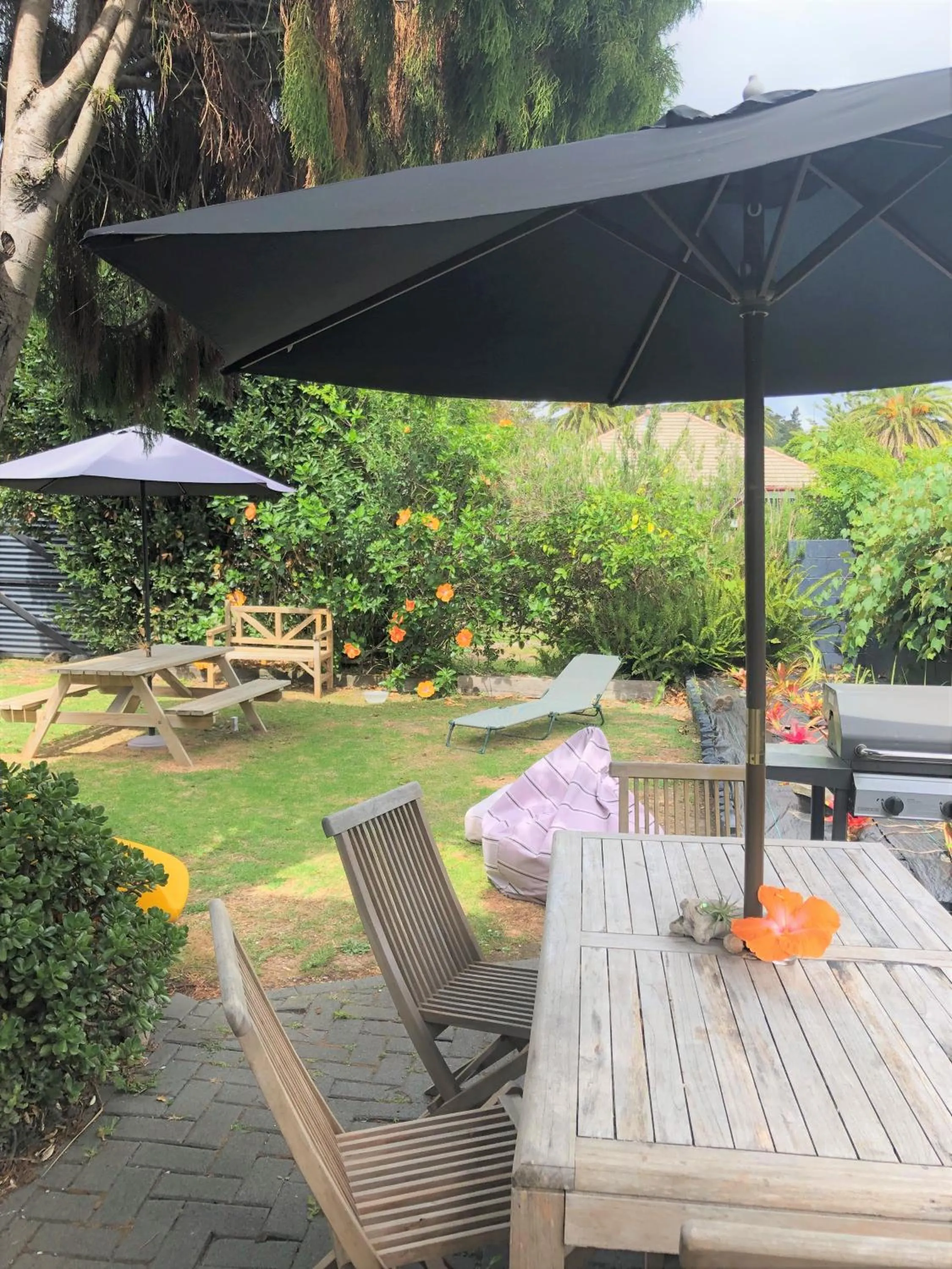 Garden view in Whitianga Motel