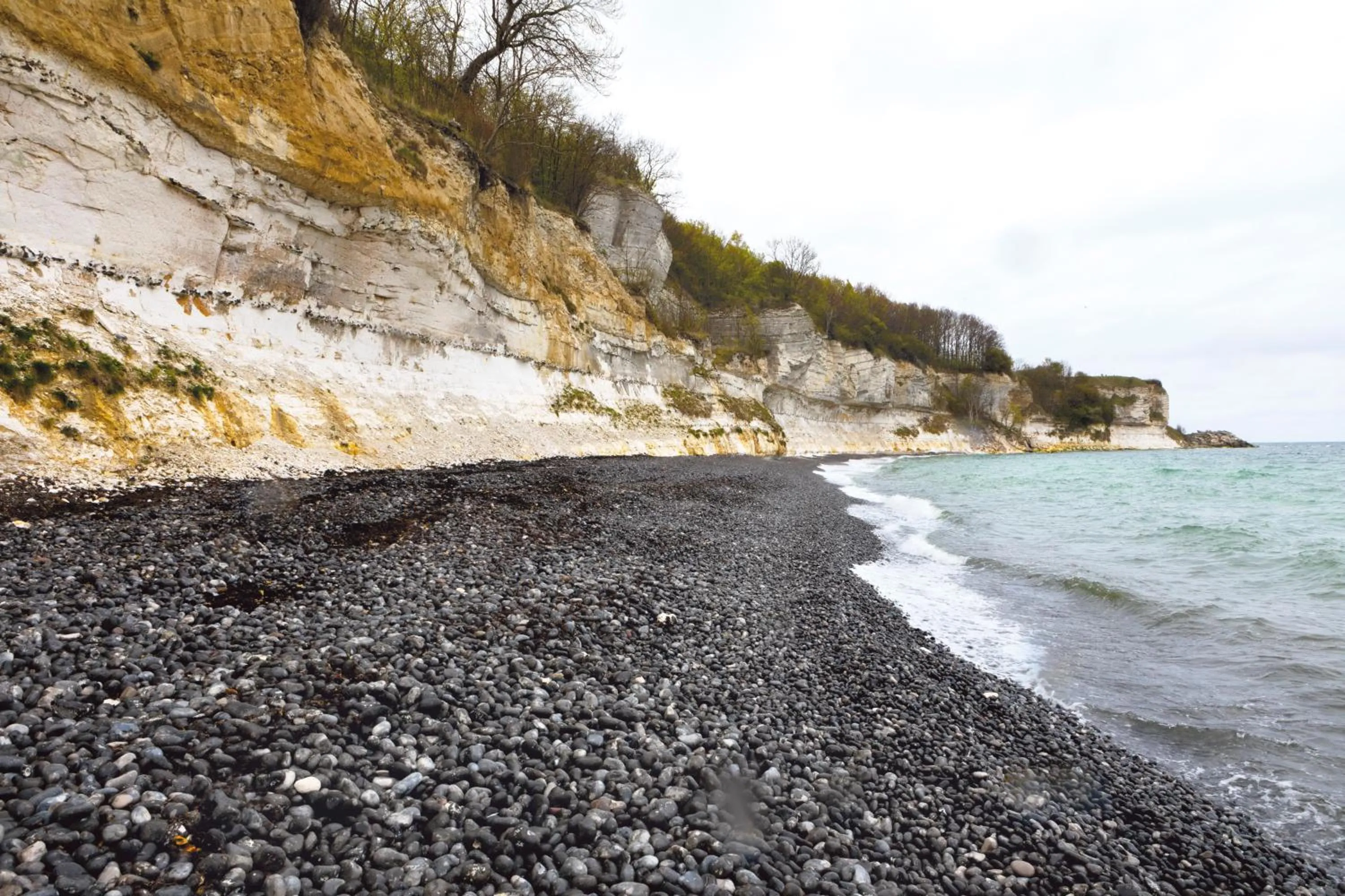 Beach in Kridthuset Stevns Klint