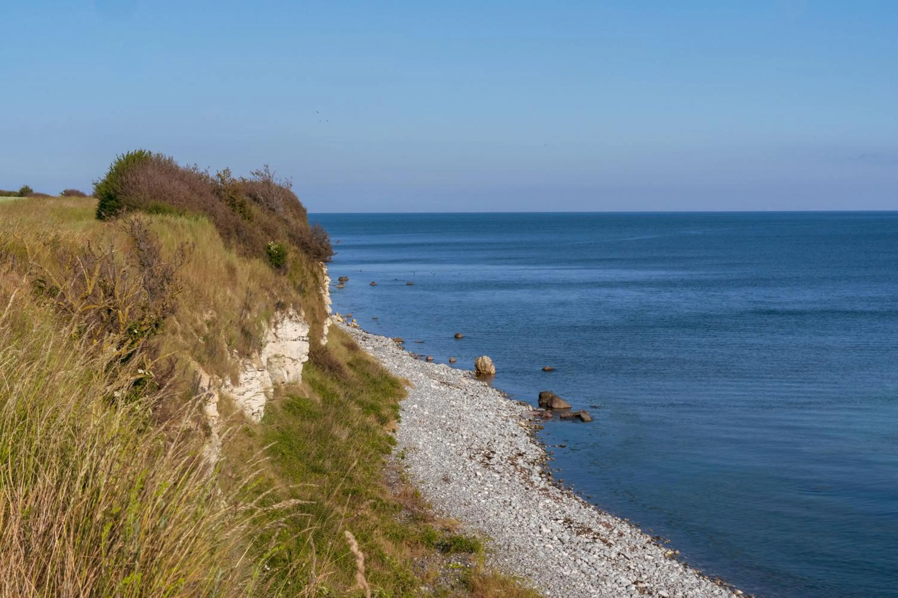 Natural landscape in Kridthuset Stevns Klint