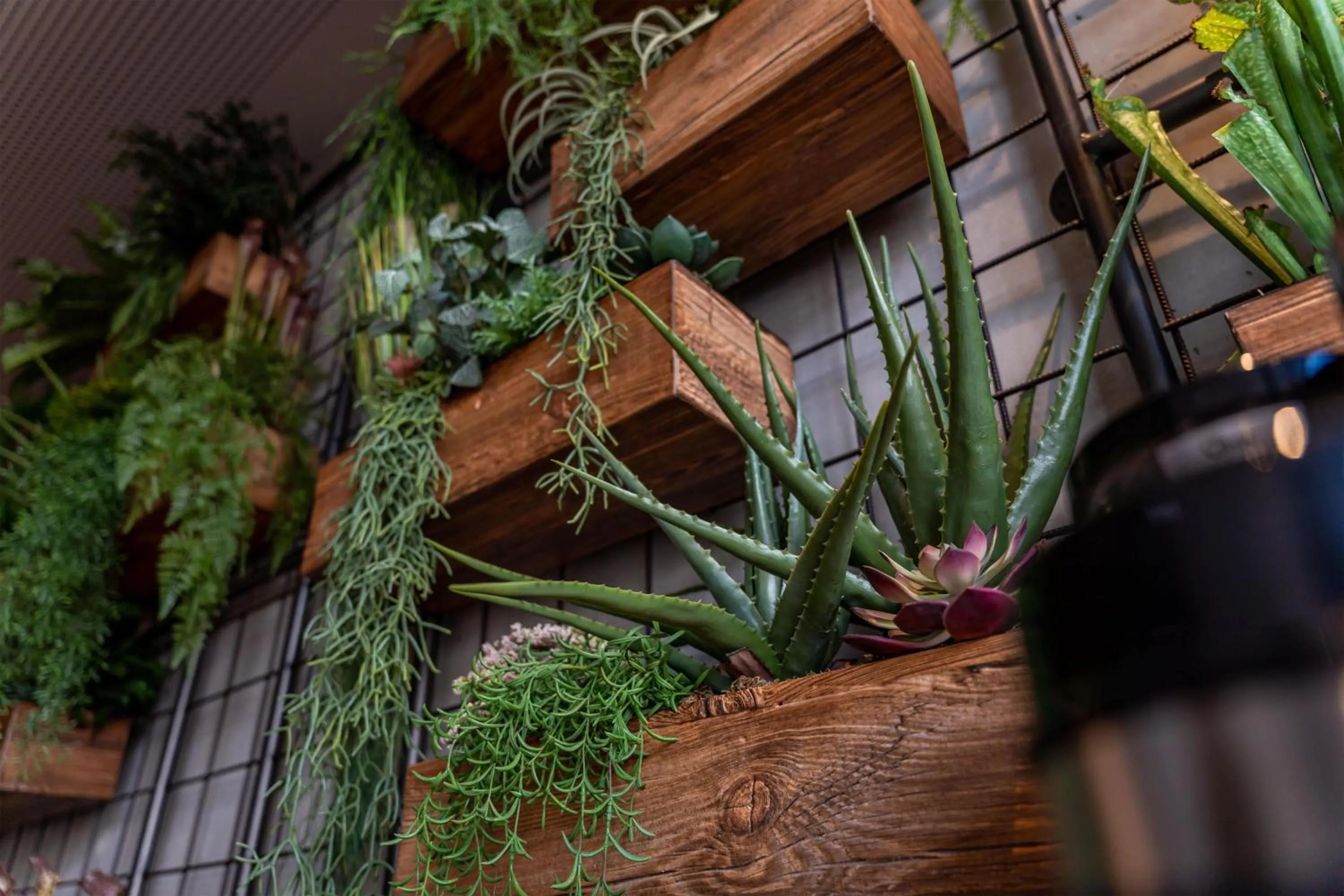 Lobby or reception in Me and All Hotel Ulm, by Hyatt