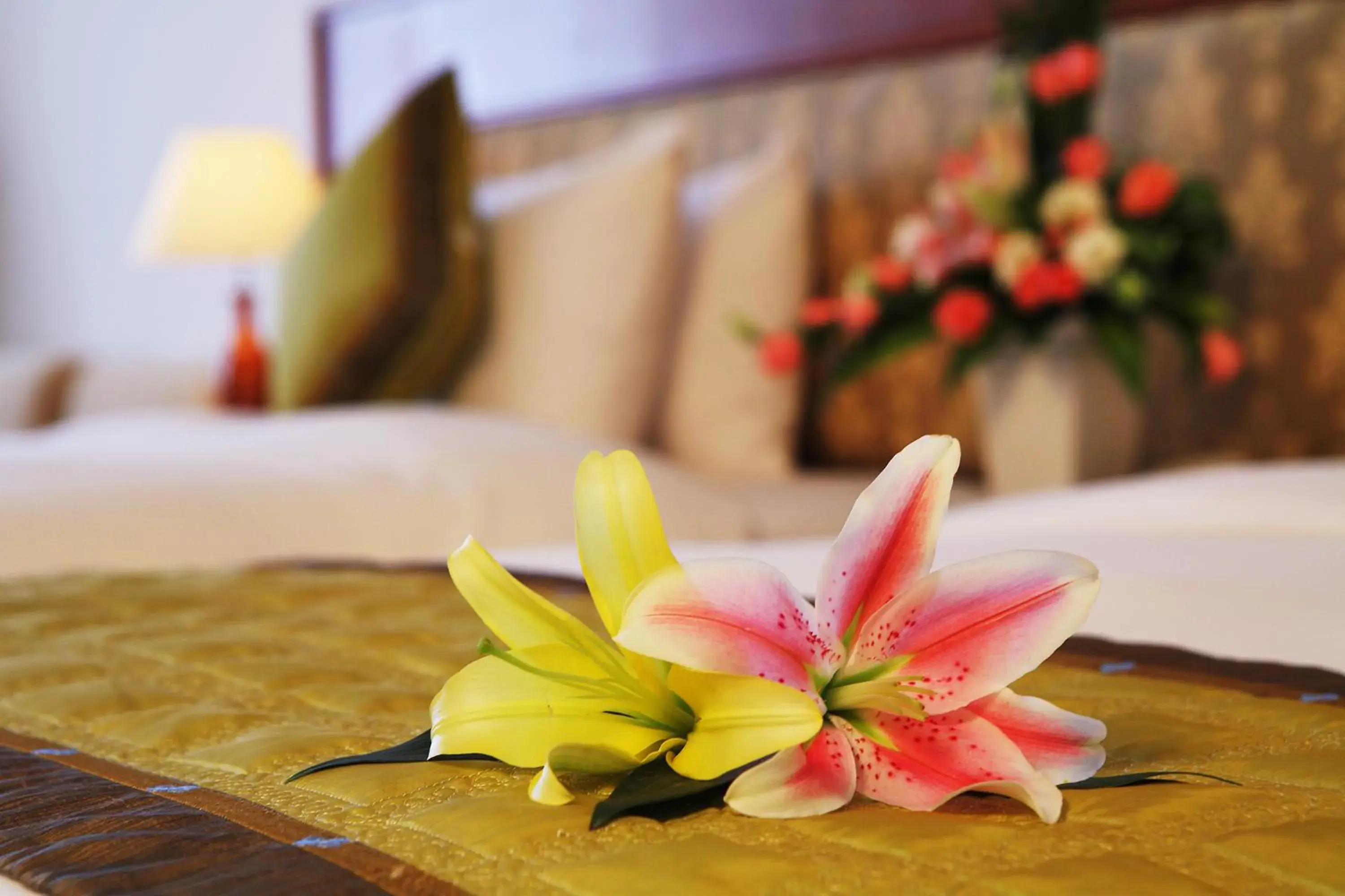 Suite - single occupancy in First Hotel Suite - single occupancy in First Hotel