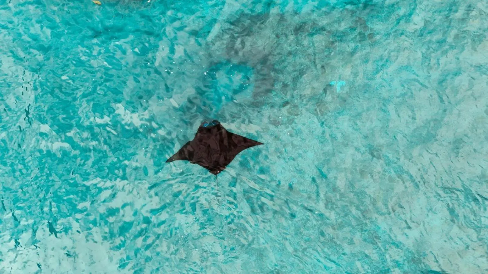 Other in Alam Selumbung Garden