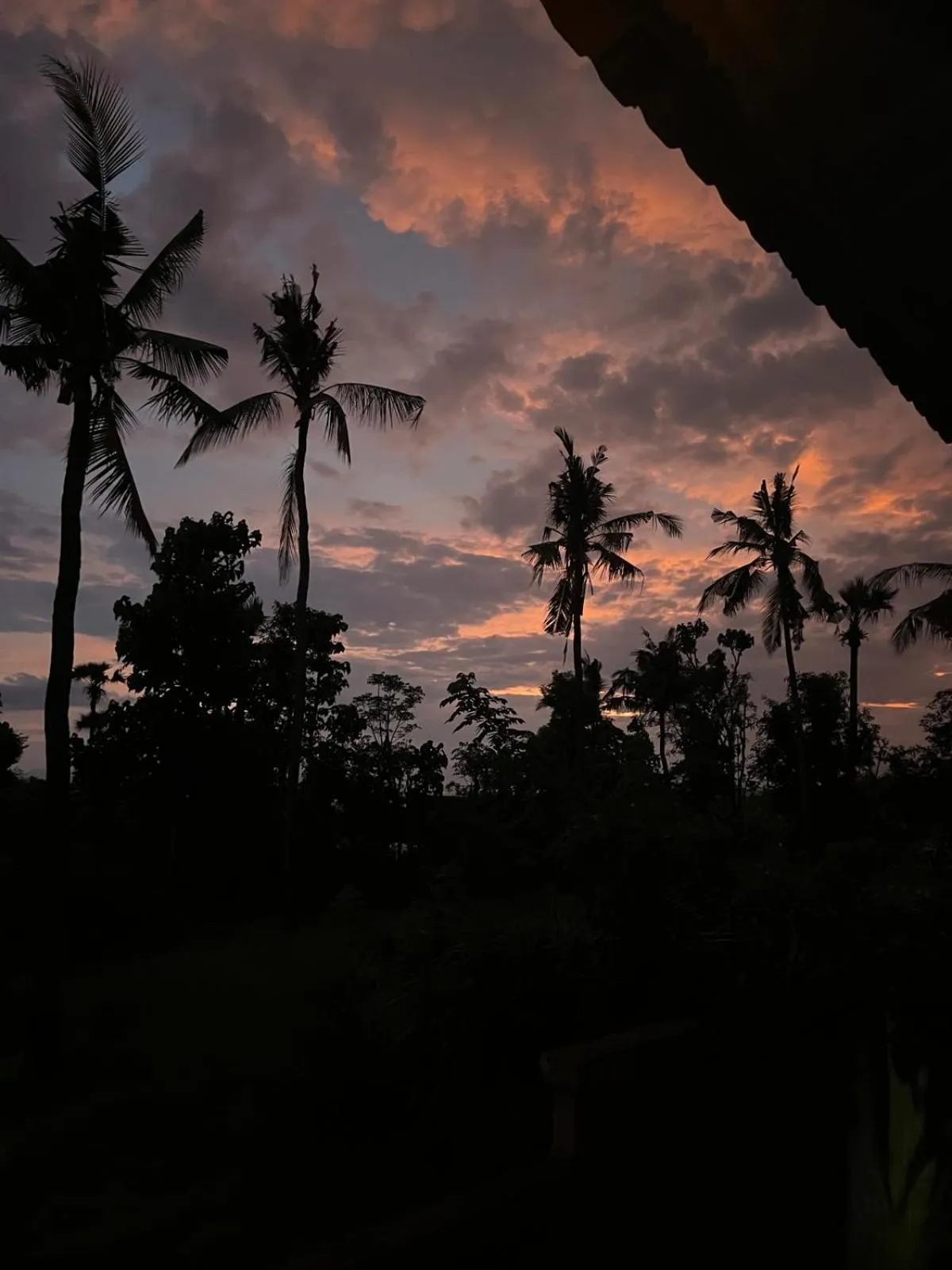 Other in Alam Selumbung Garden