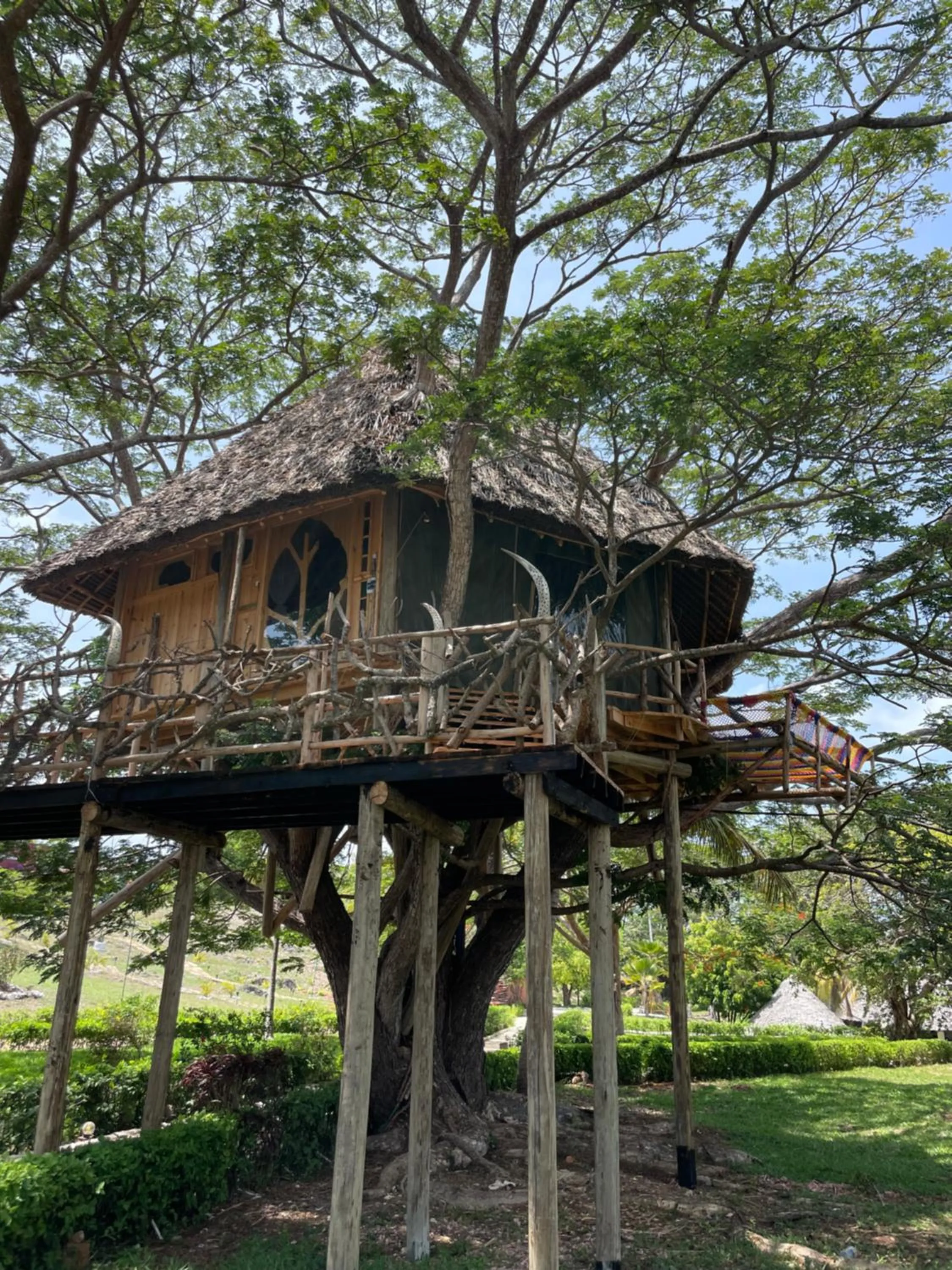Property building in Antonio Beach Tree House Hotel & Spa