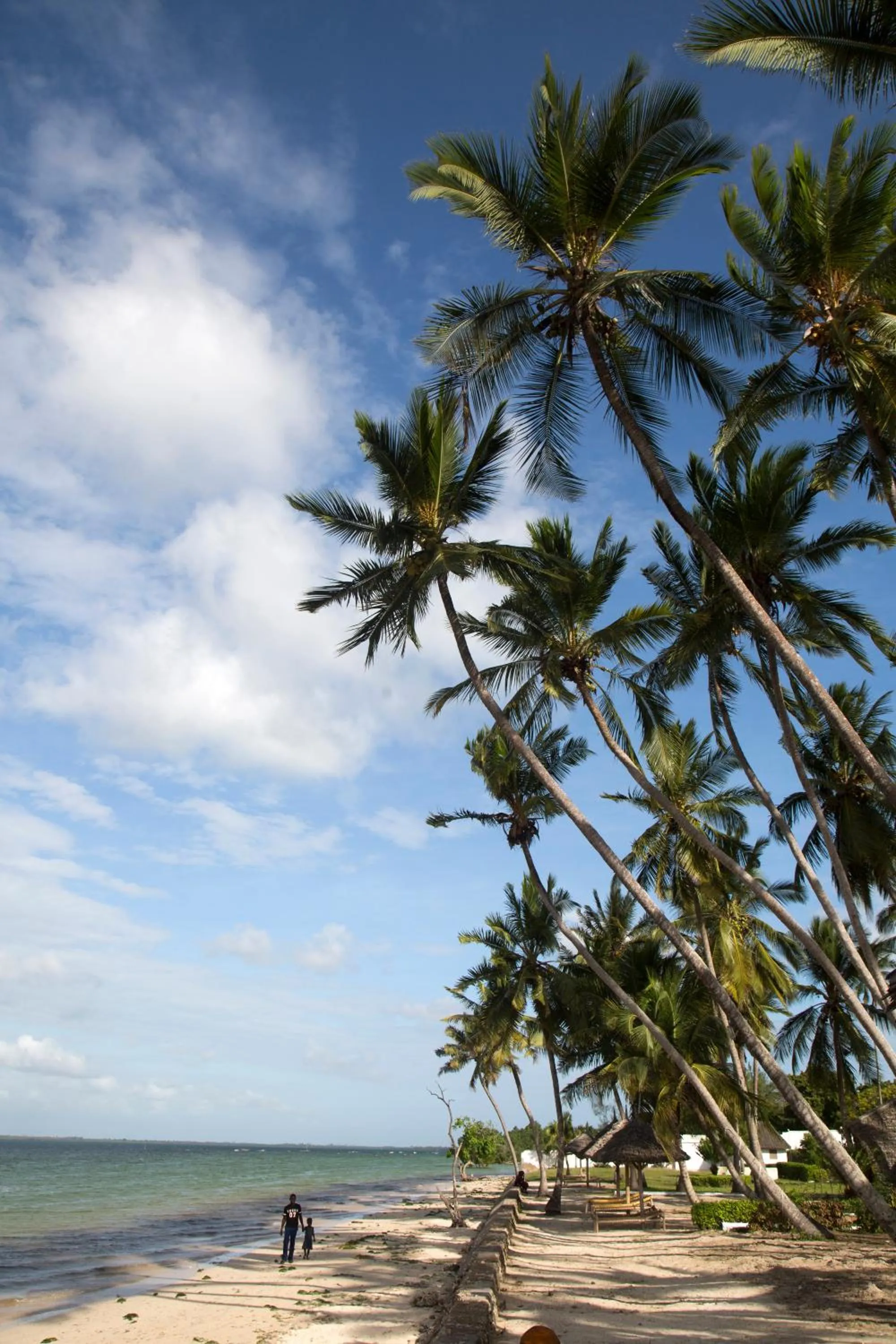 Natural landscape in Antonio Beach Tree House Hotel & Spa