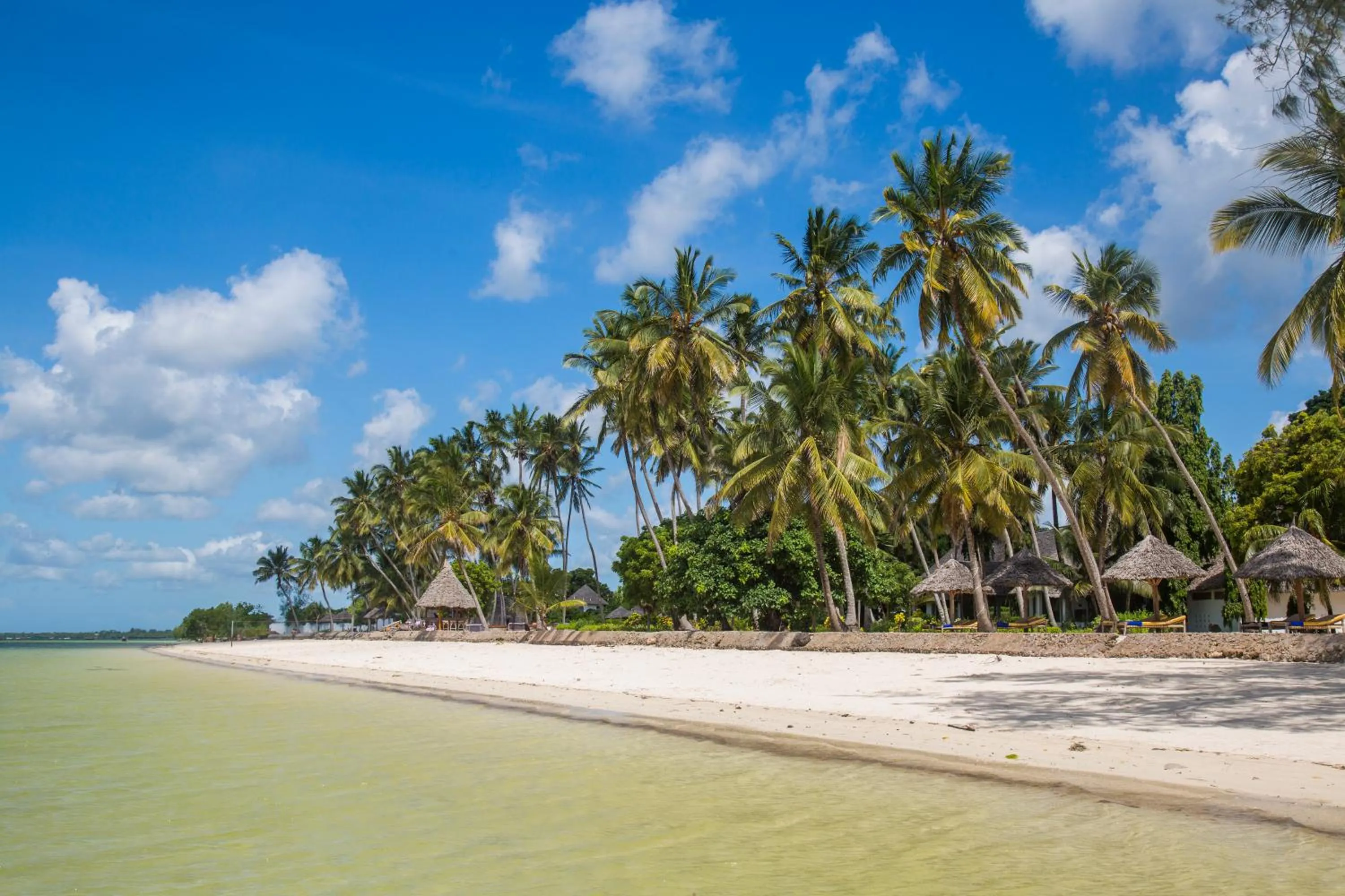 Beach in Antonio Beach Tree House Hotel & Spa