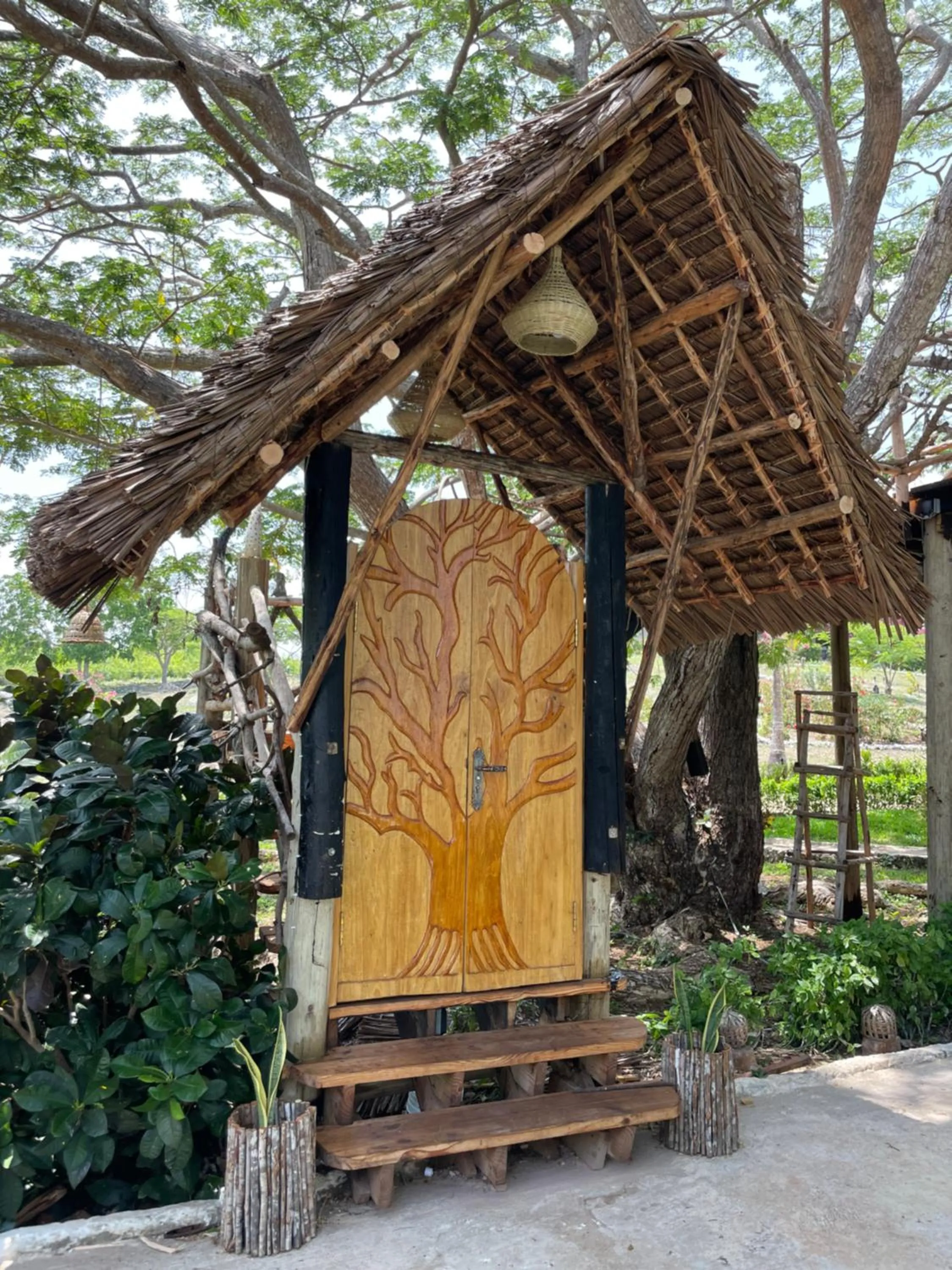 Facade/entrance in Antonio Beach Tree House Hotel & Spa