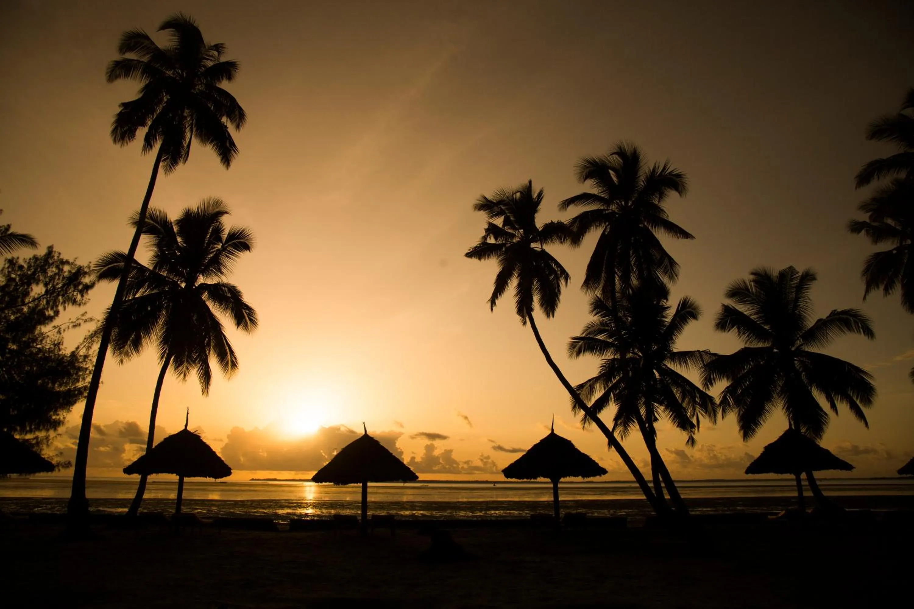 Natural landscape in Antonio Beach Tree House Hotel & Spa