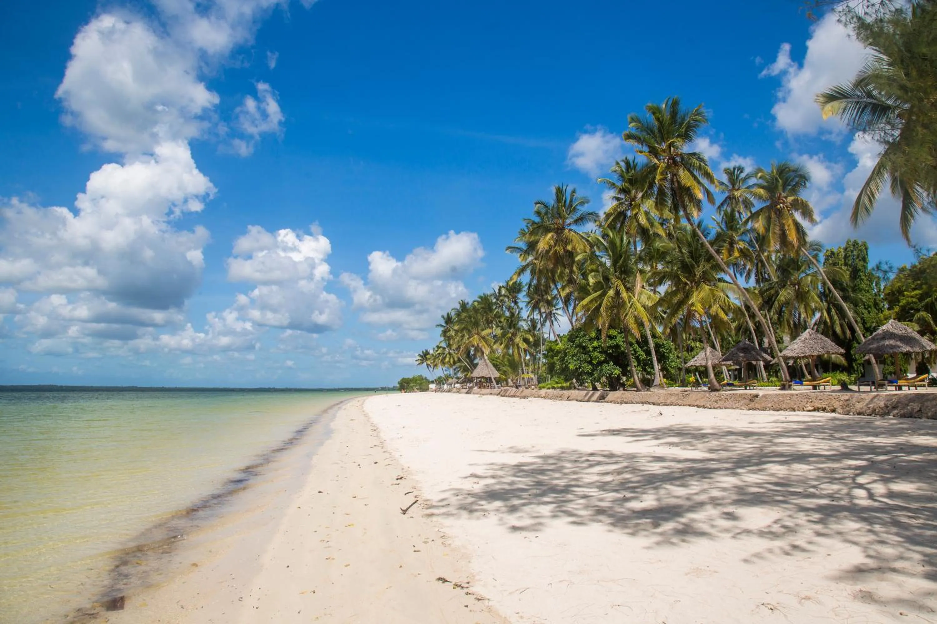Natural landscape in Antonio Beach Tree House Hotel & Spa