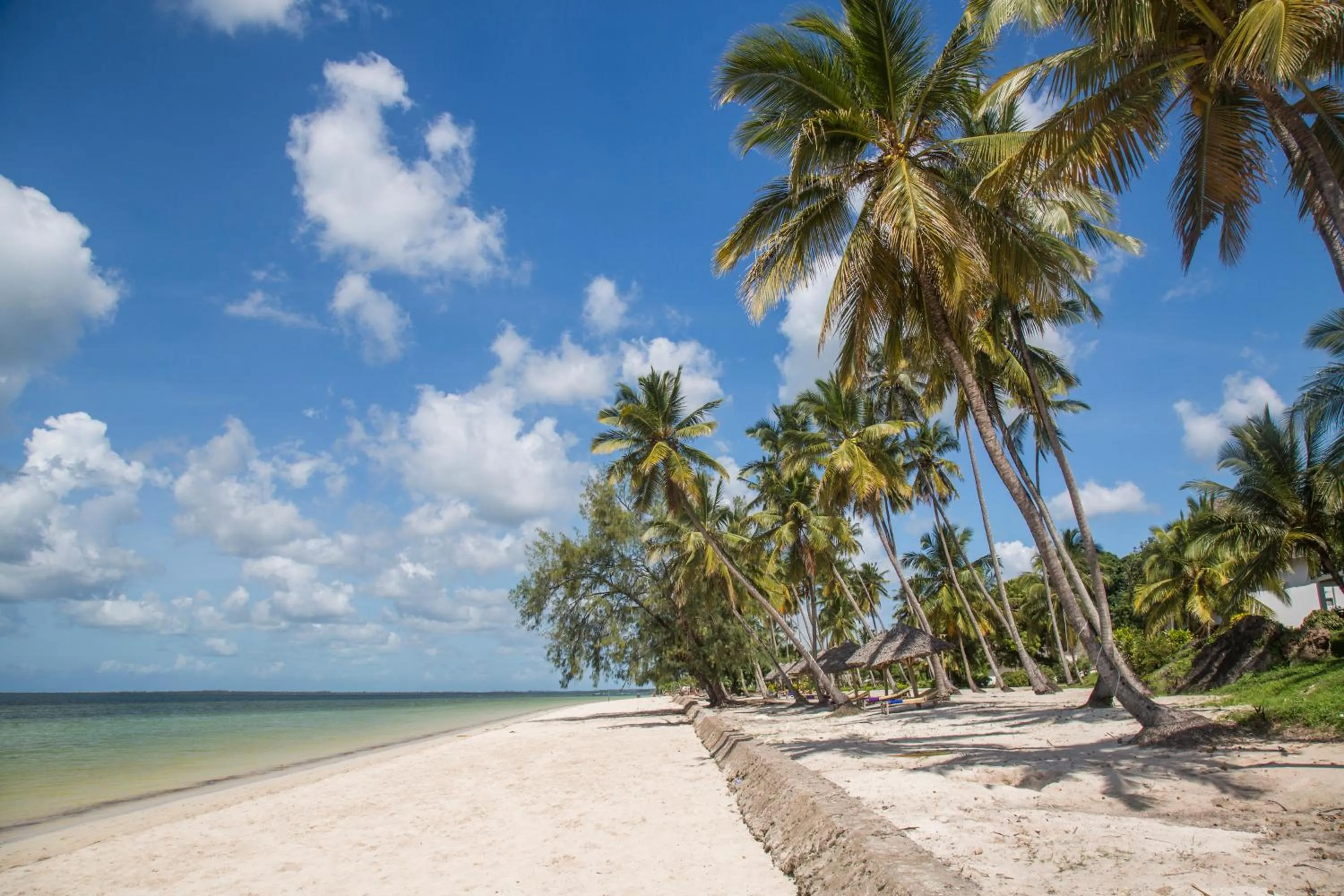 Natural landscape in Antonio Beach Tree House Hotel & Spa