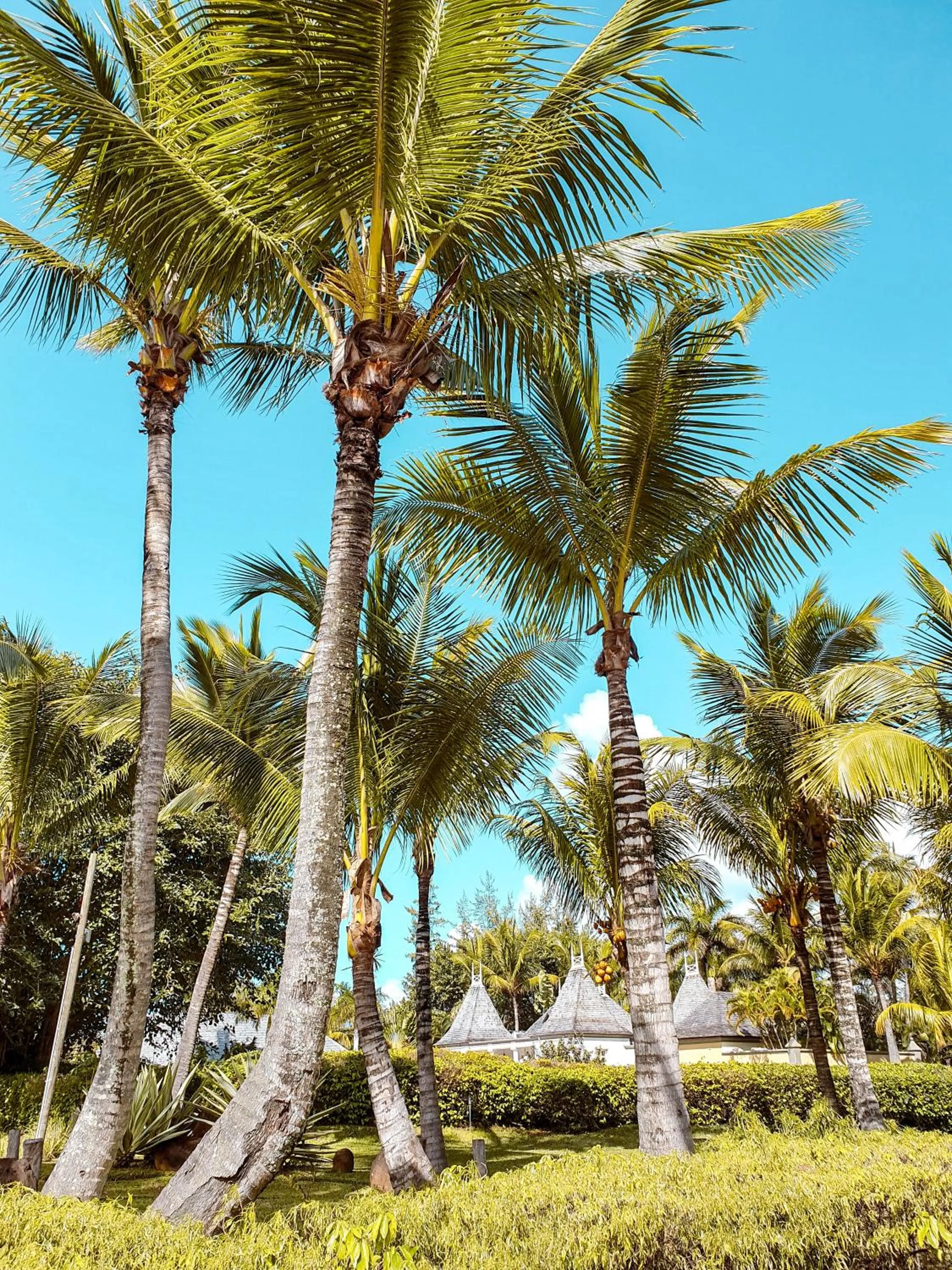 Garden in Outrigger Mauritius Beach Resort