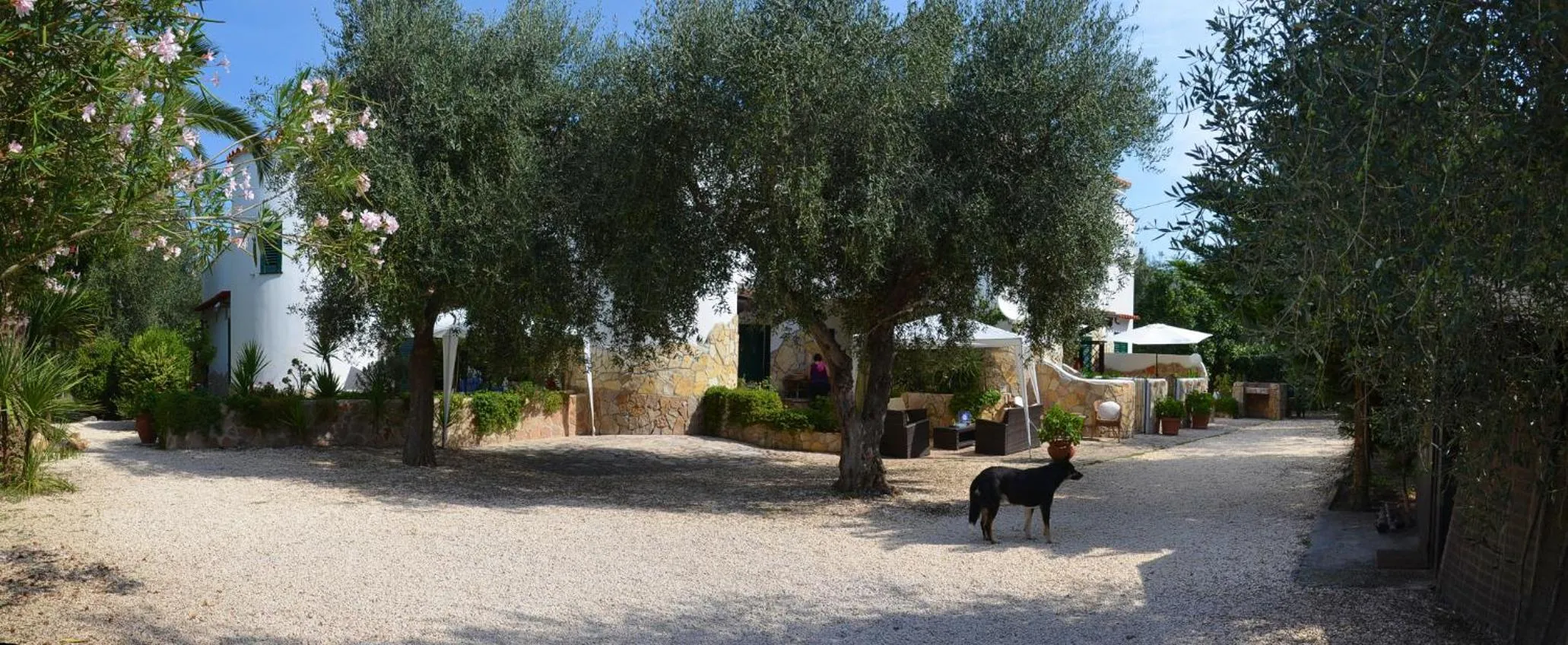 Property building in Casa Masseria Le Ville