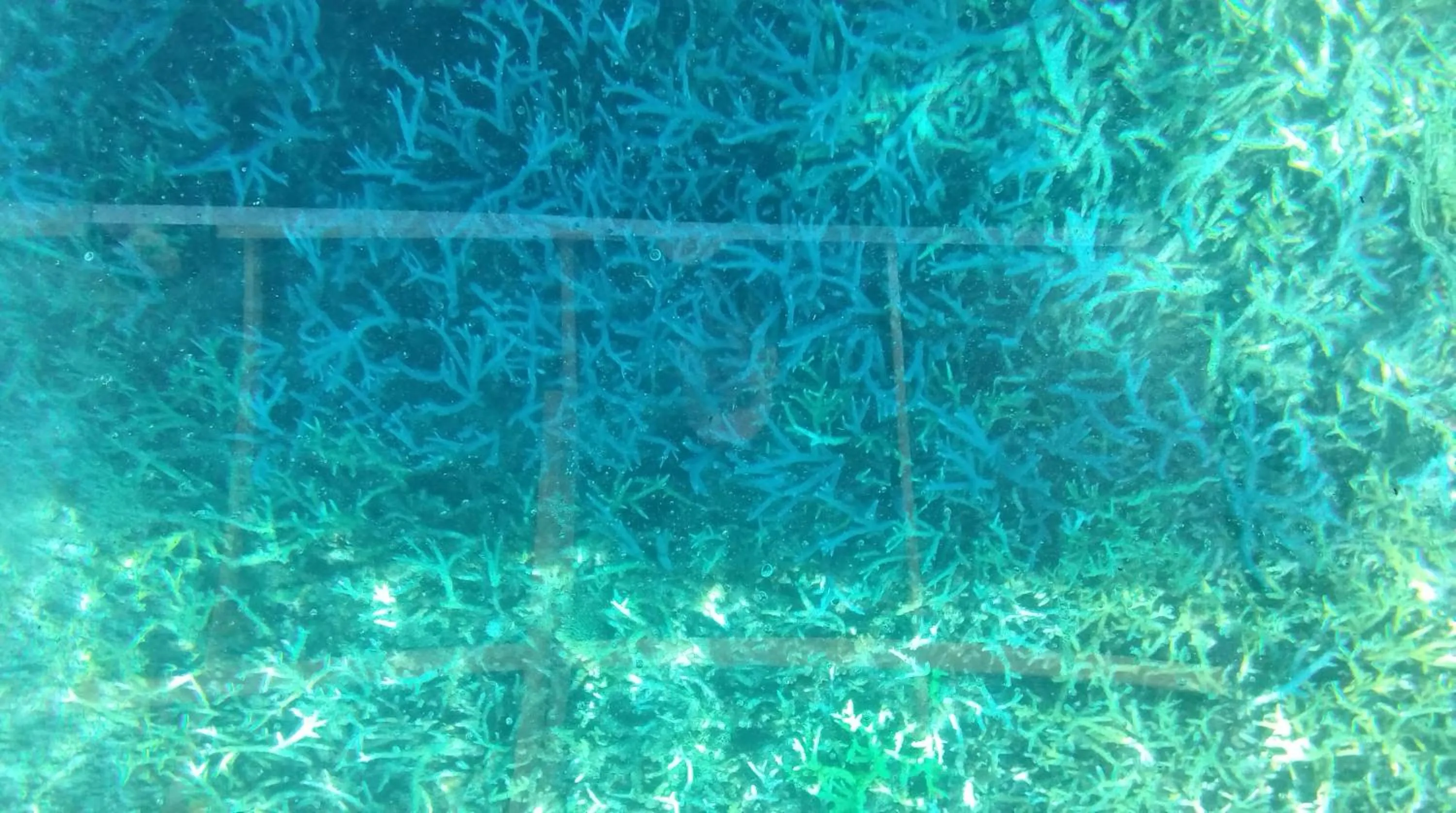 Anajawan Island Beachfront Resort